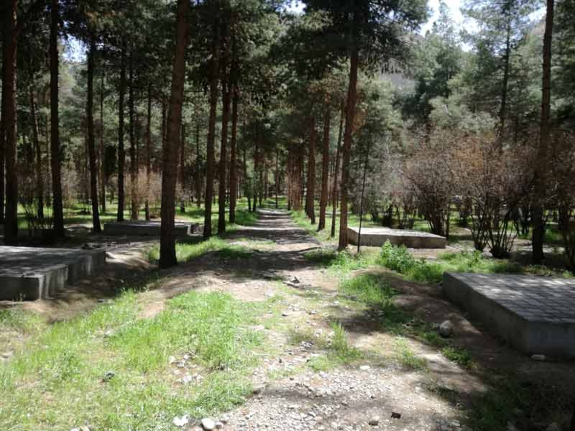پارک پردیسان قایم