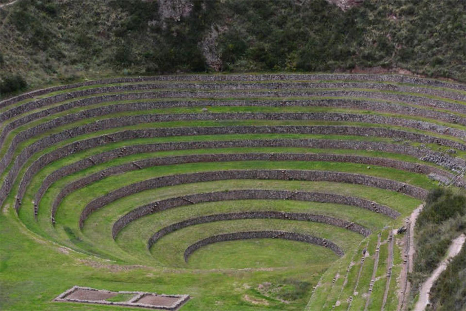Moray 