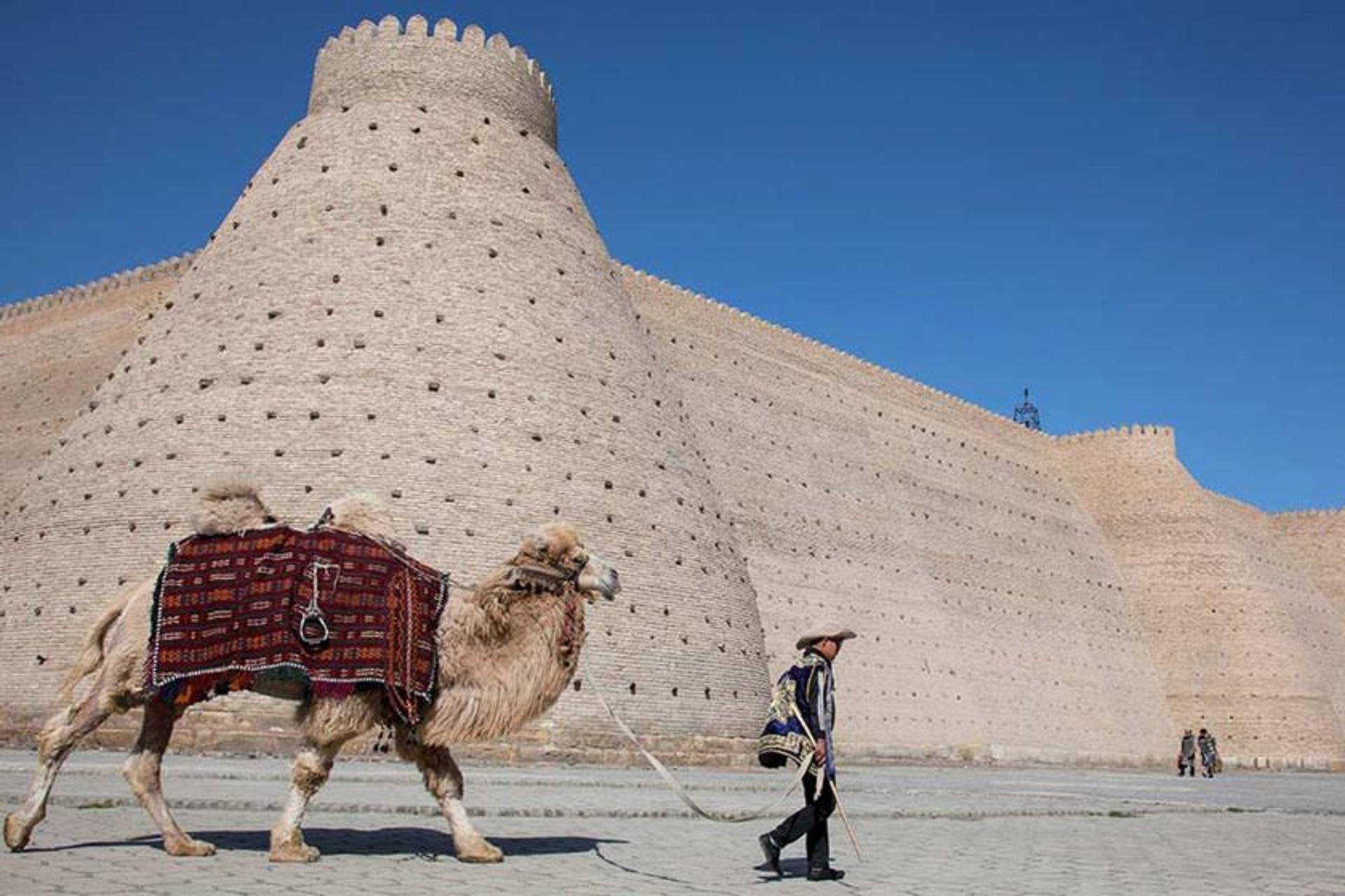 دایرکتوری ازبکستان