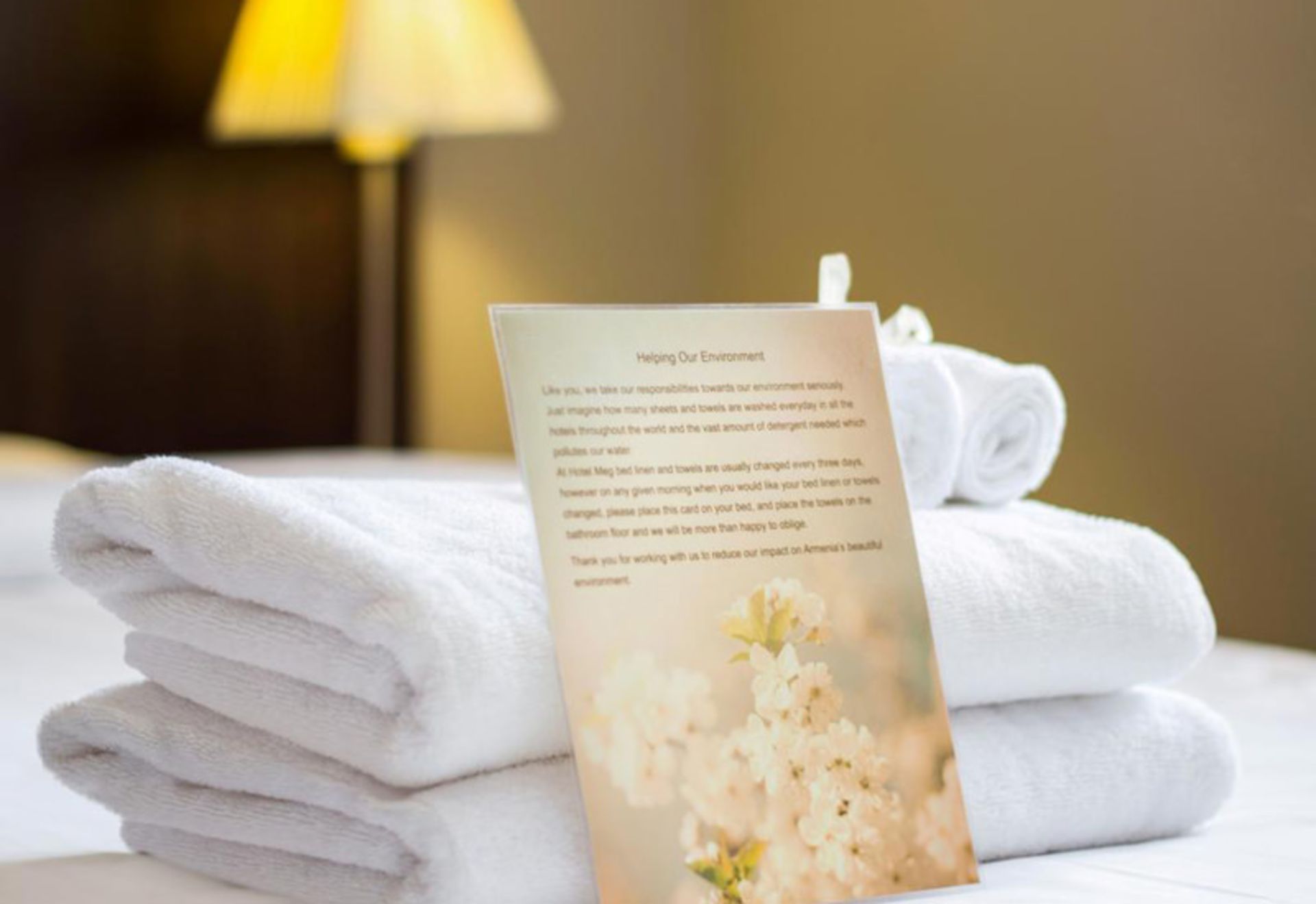 هتل مگ (Hotel Meg)