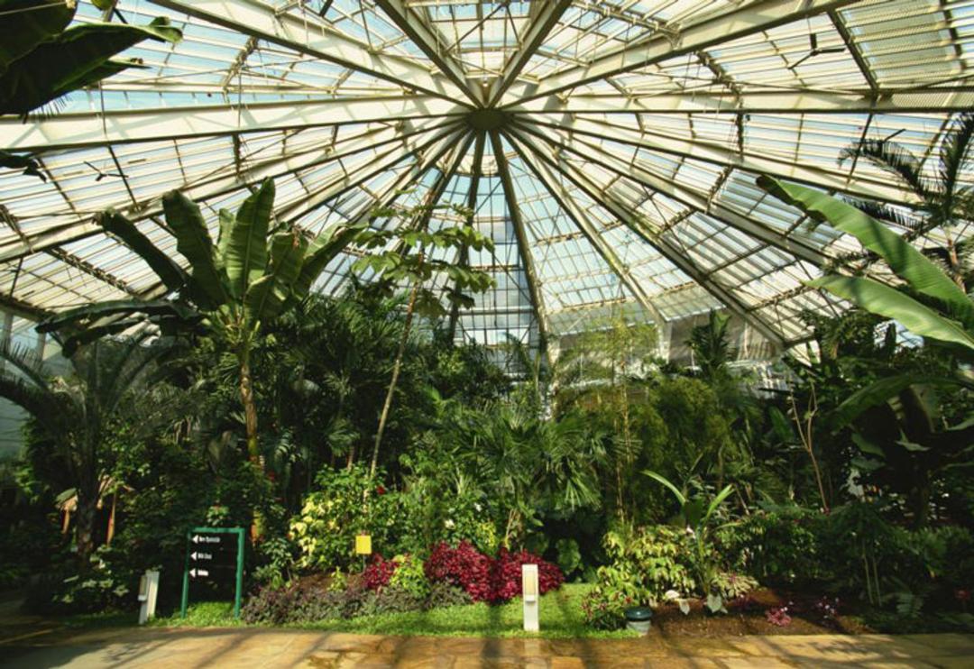 پارک فونیکس (Parc Phœnix)