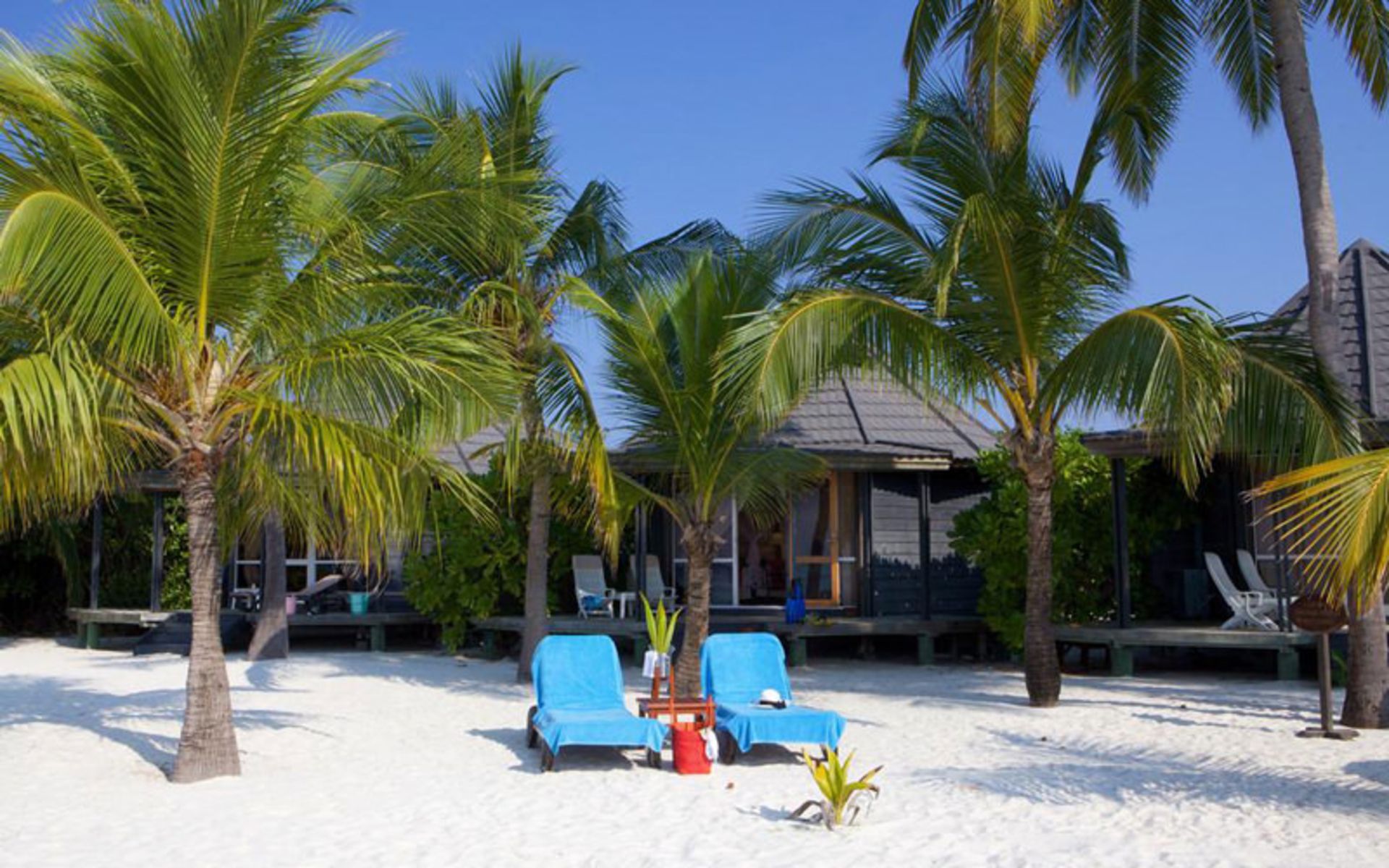هتل کوردو ایسلند ریزورت اند اسپا (Kuredu Island Resort & Spa)