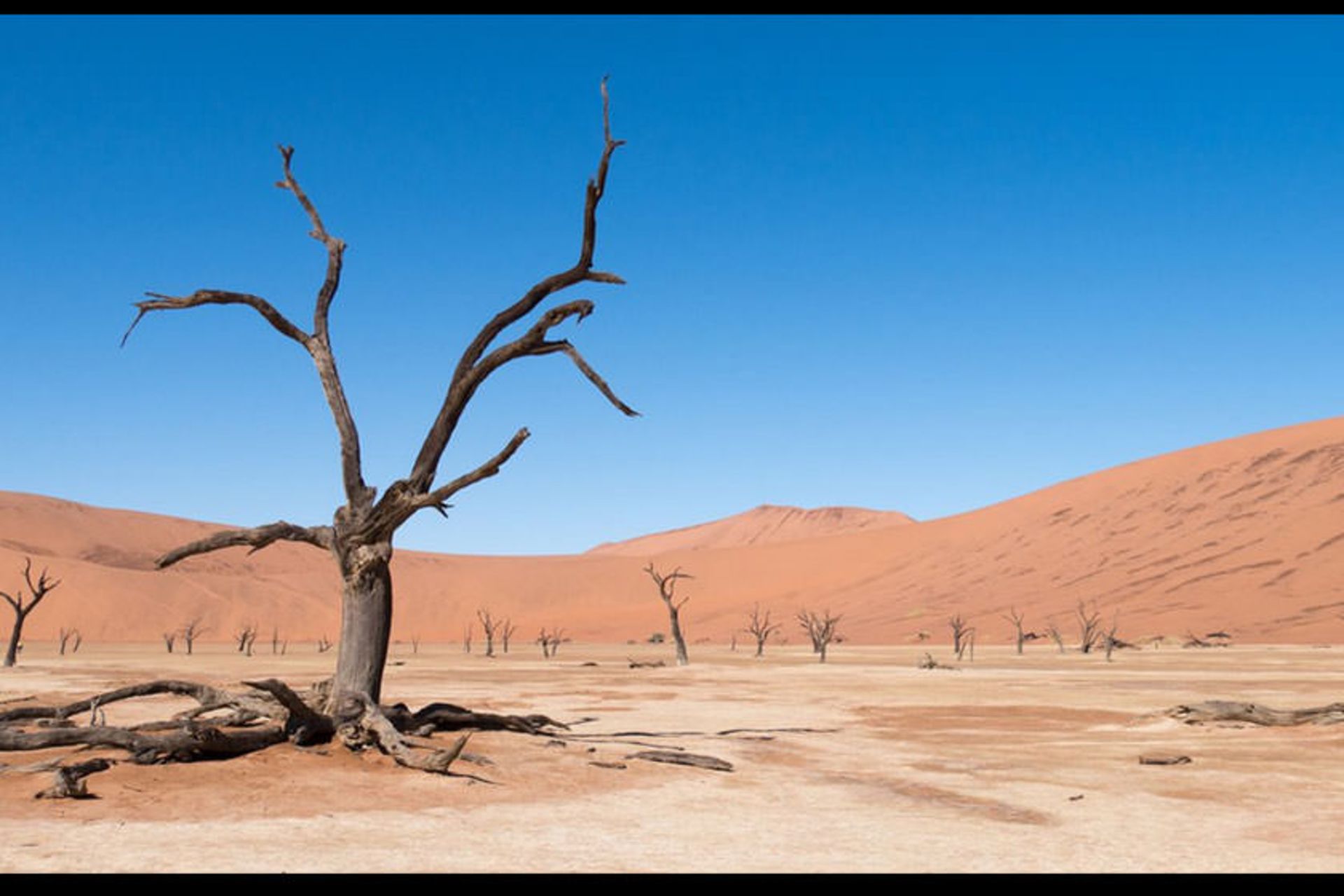 Sossusvlei