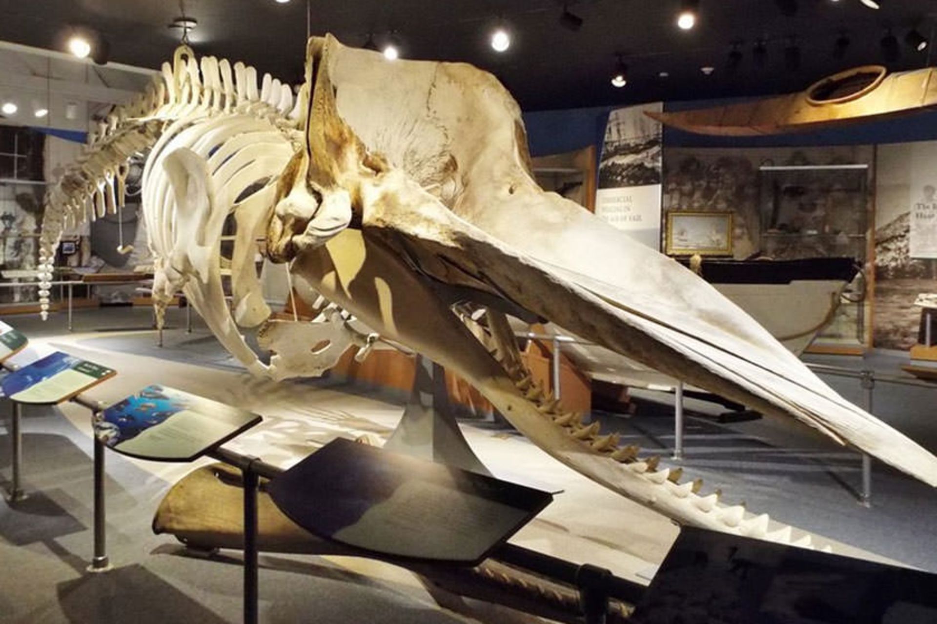 New Bedford Whaling Museum