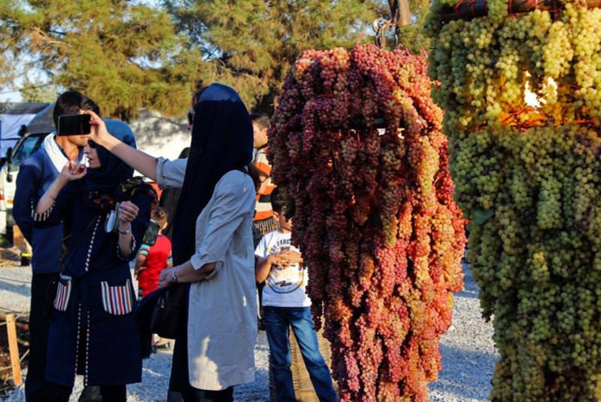 جشنواره انگور
