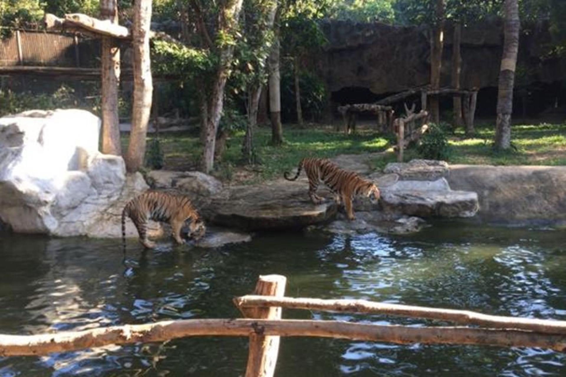 Ubon Zoo