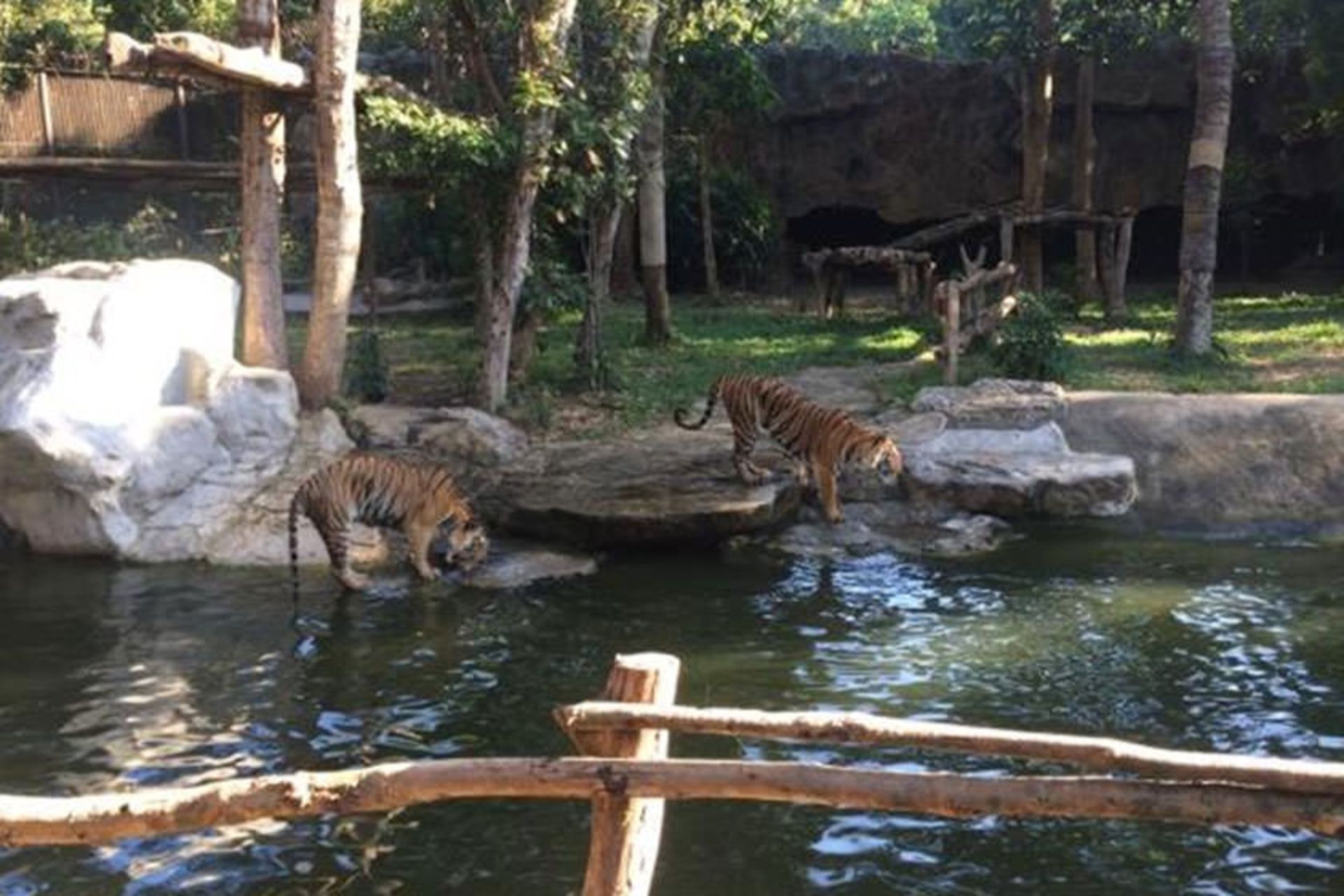 Ubon Zoo