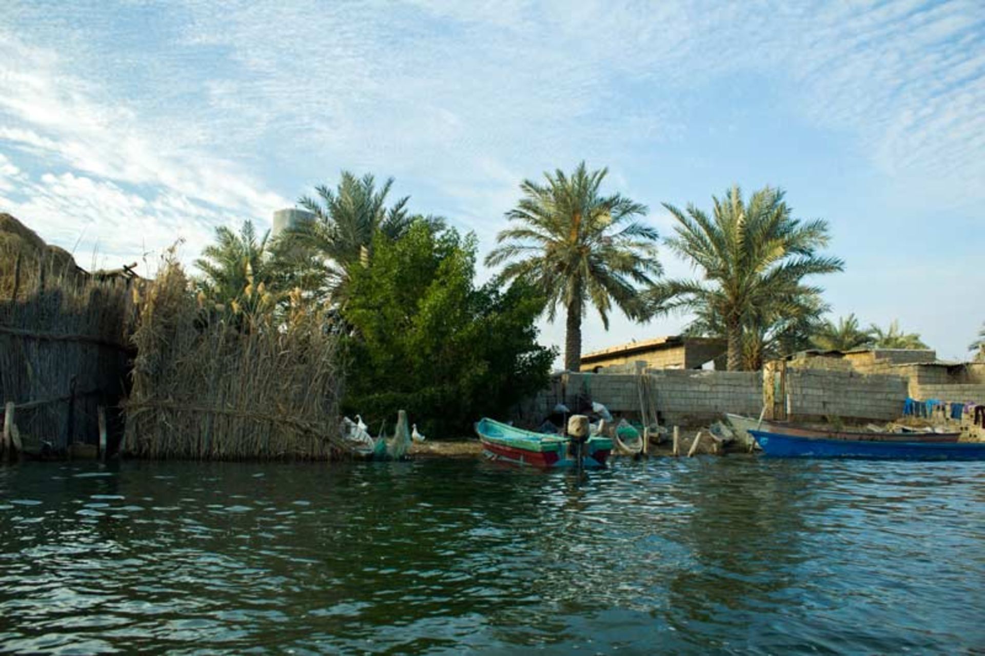تالاب شادگان