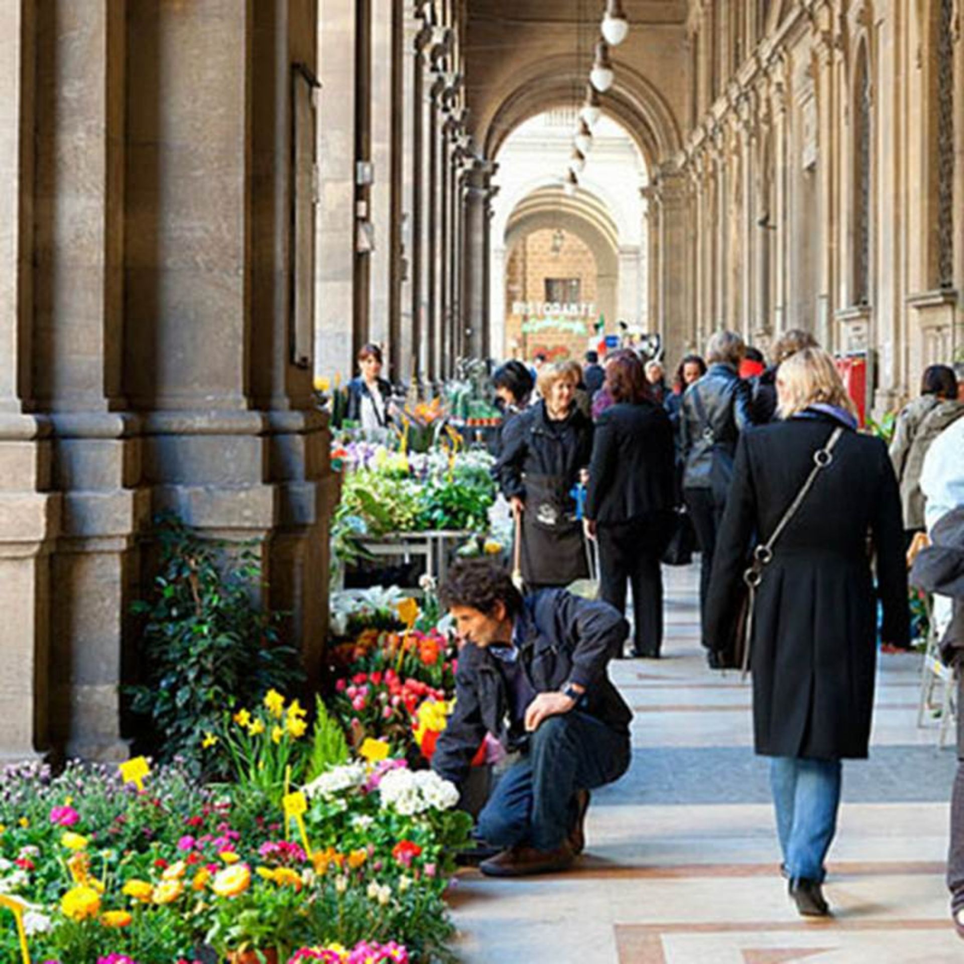 راهنمای خرید در پیزا