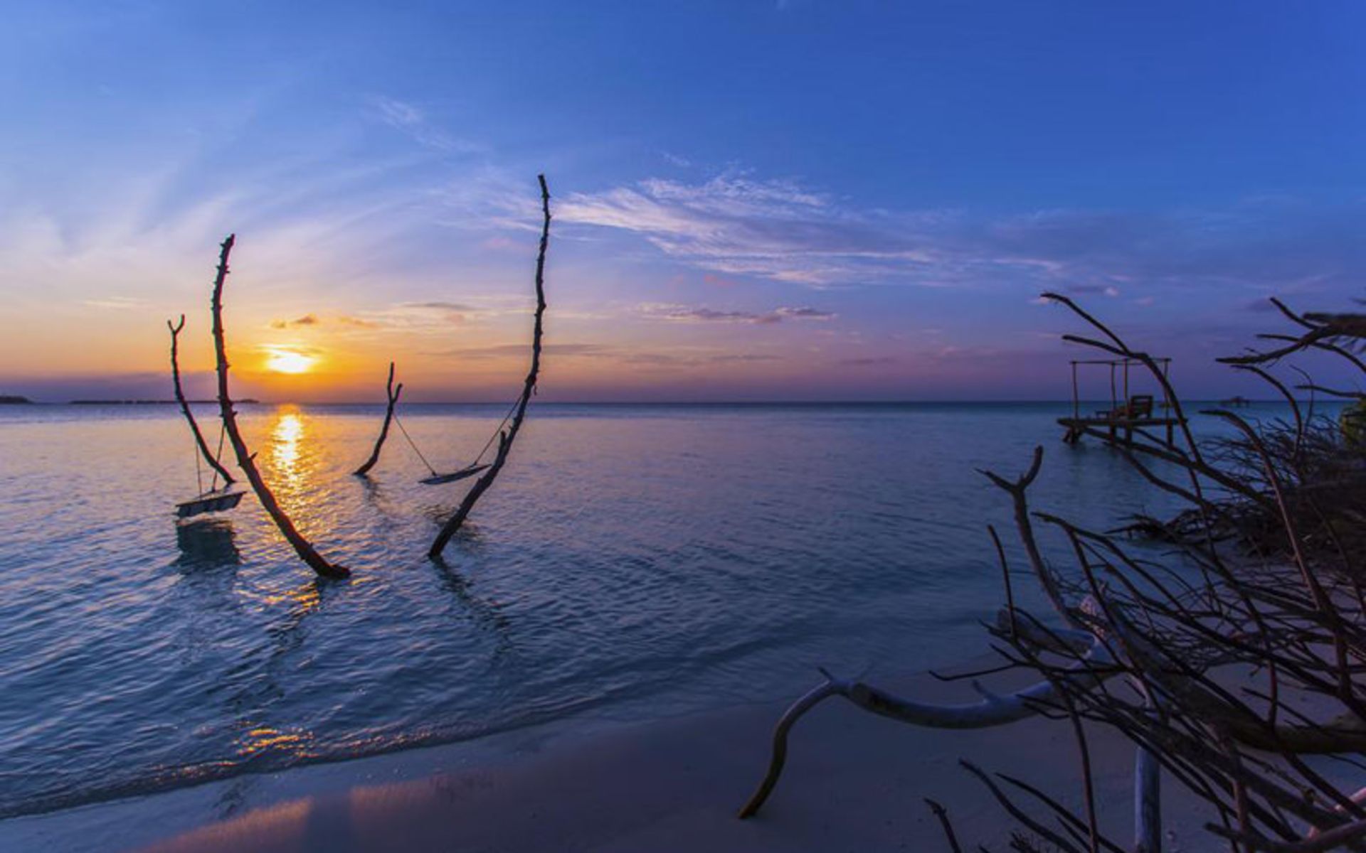 هتل آوه نچرال پارادایس (aaaVeee Nature's Paradise)
