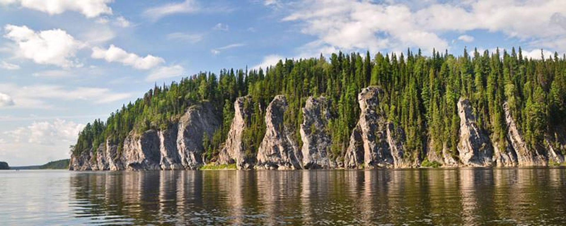 جنگل های بکر کومی