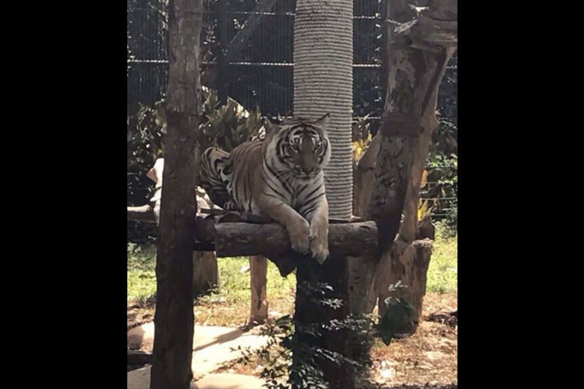 Ubon Zoo