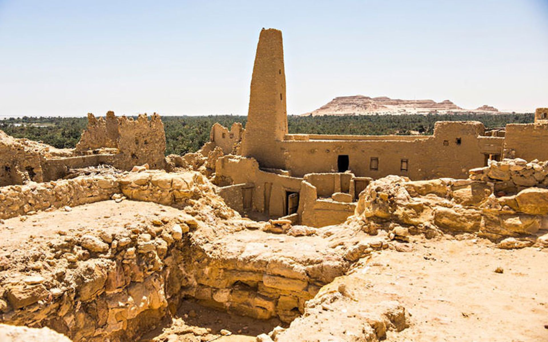 مصر