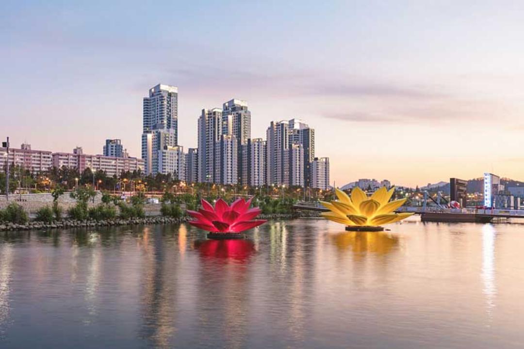 راهنمای تحصیل در کره جنوبی