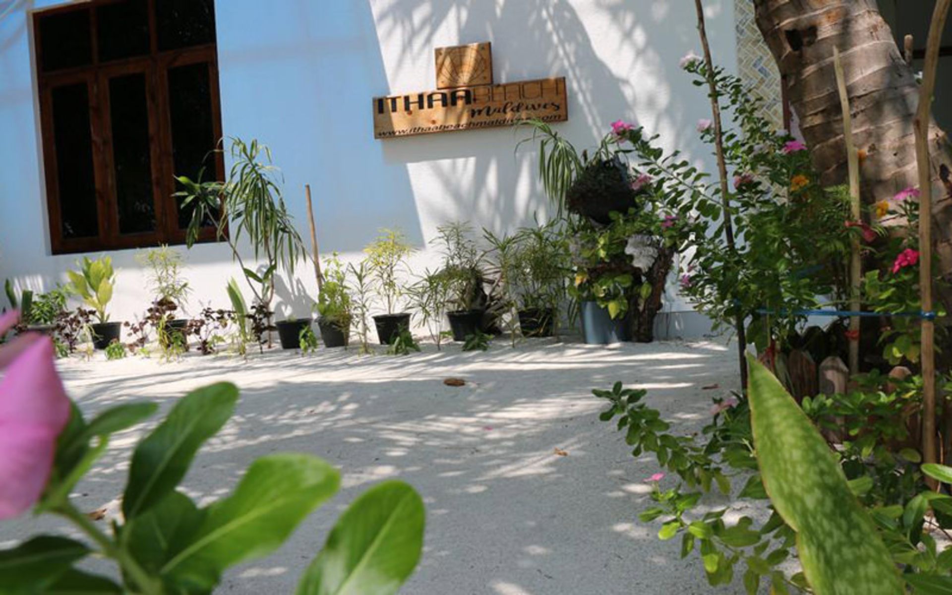 هتل ایدا بیچ (Ithaa Beach Maldives)