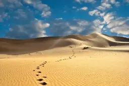 پارک ملی تپه های شنی سیگاتوکا