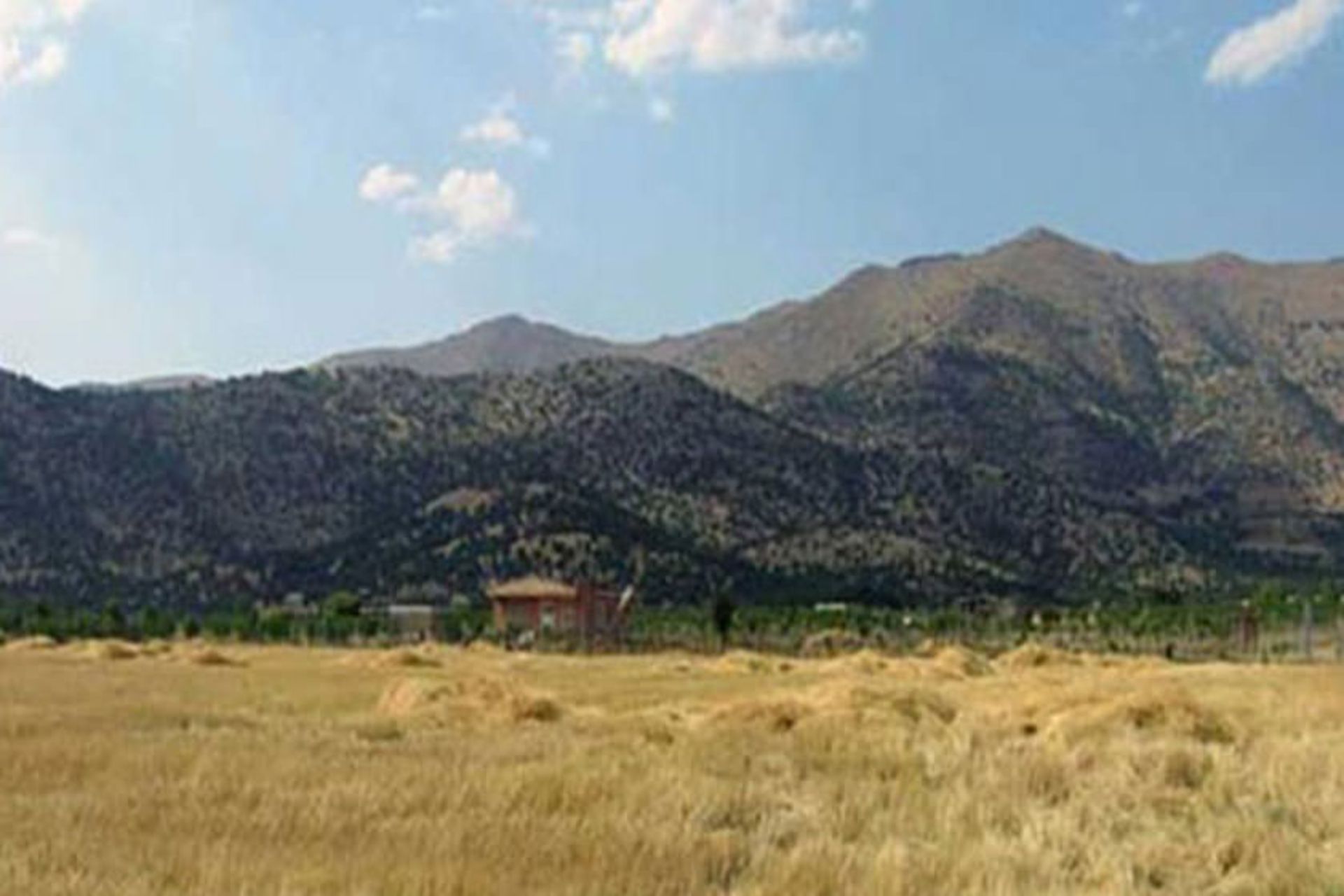 تفرجگاه سورین