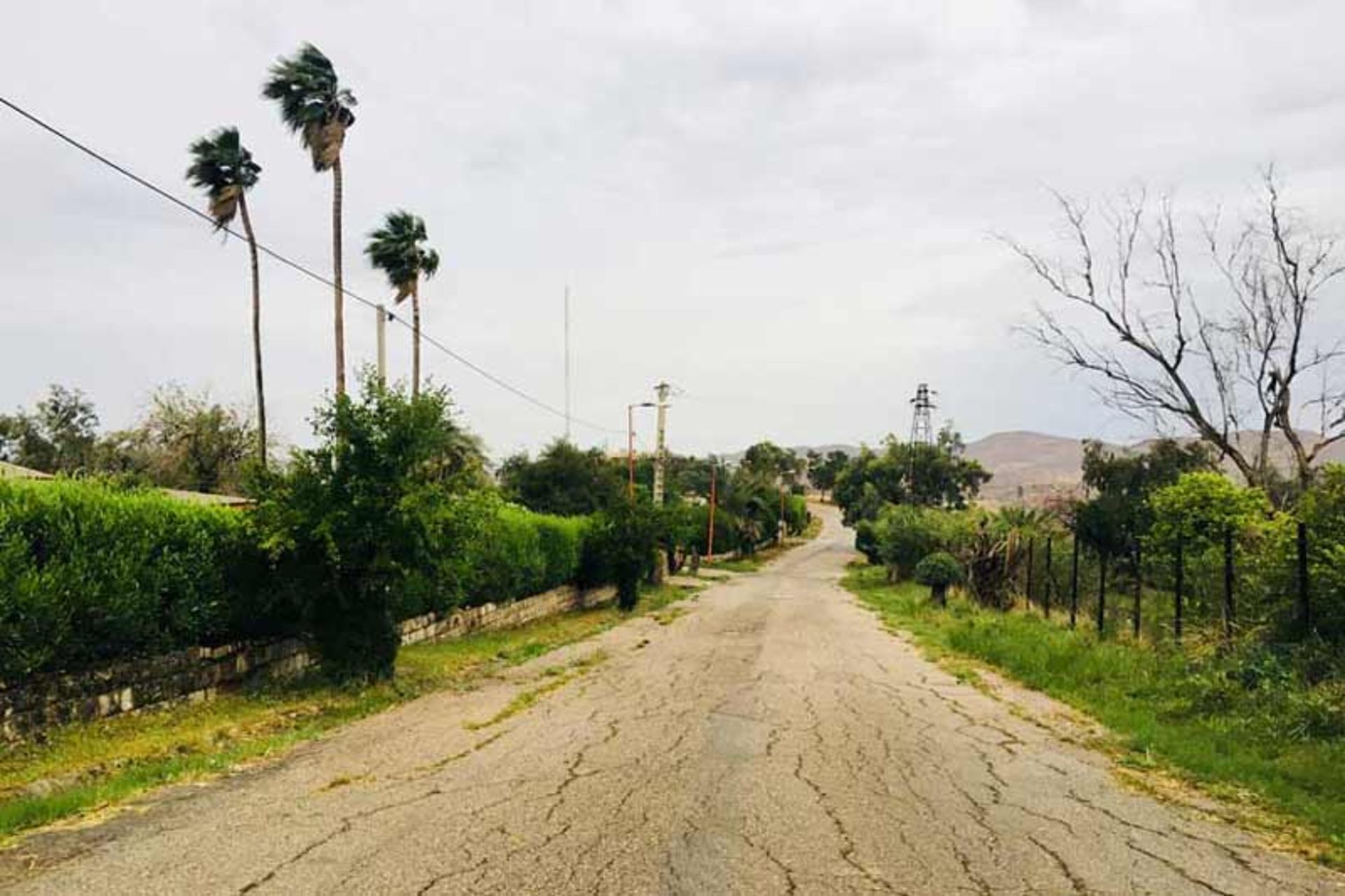 جزیره کوشک