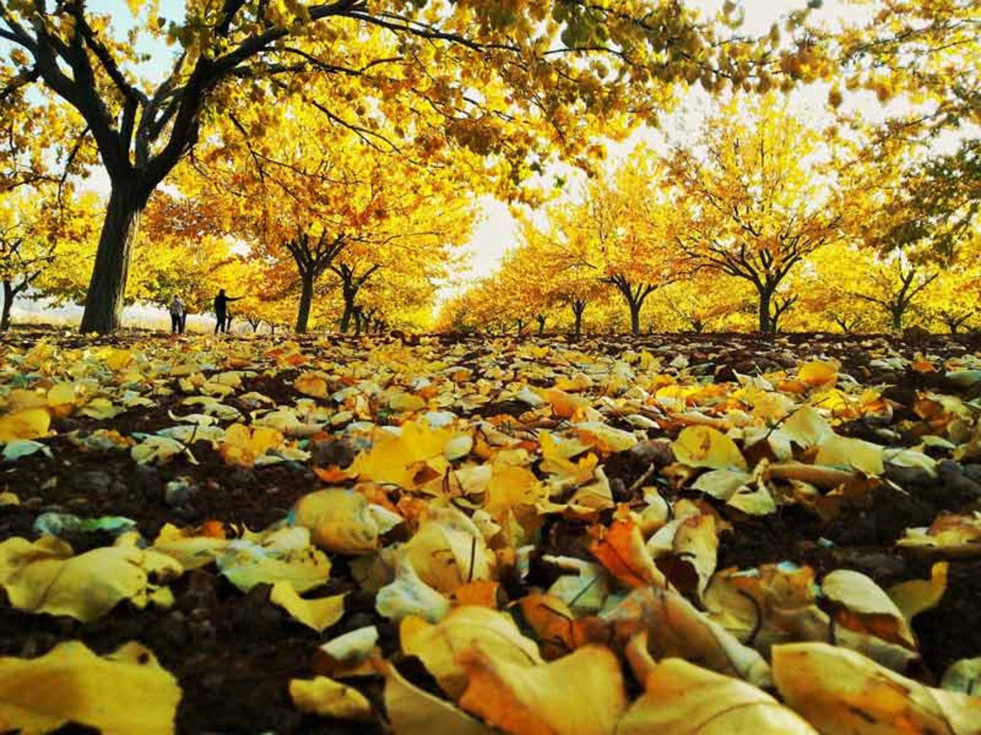 بهترین زمان سفر به آلانیا؛ دژ امپراطورهای مدیترانه در ترکیه