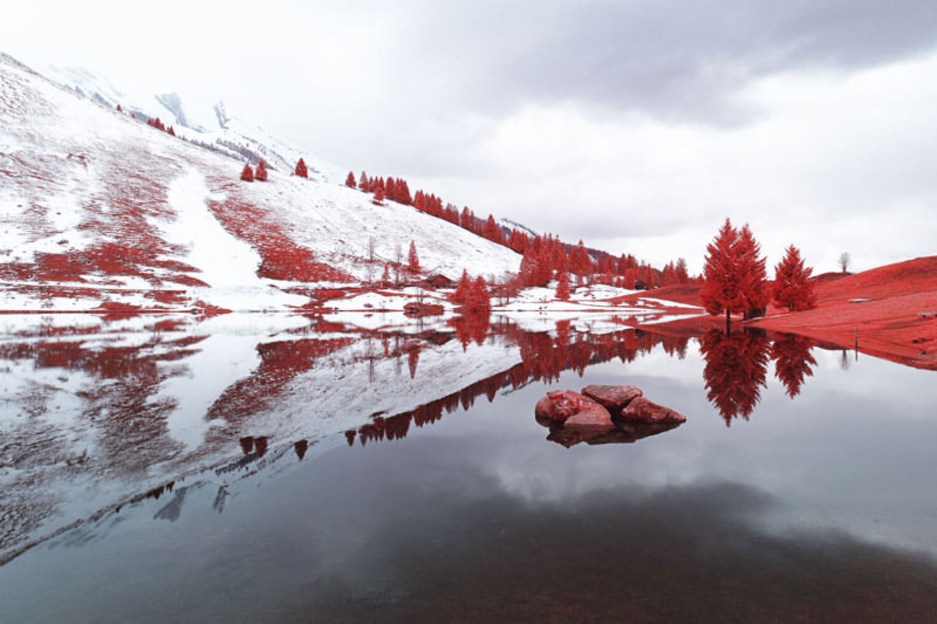 کشف یک دنیای نامرئی در آثار یک عکاس فرانسوی