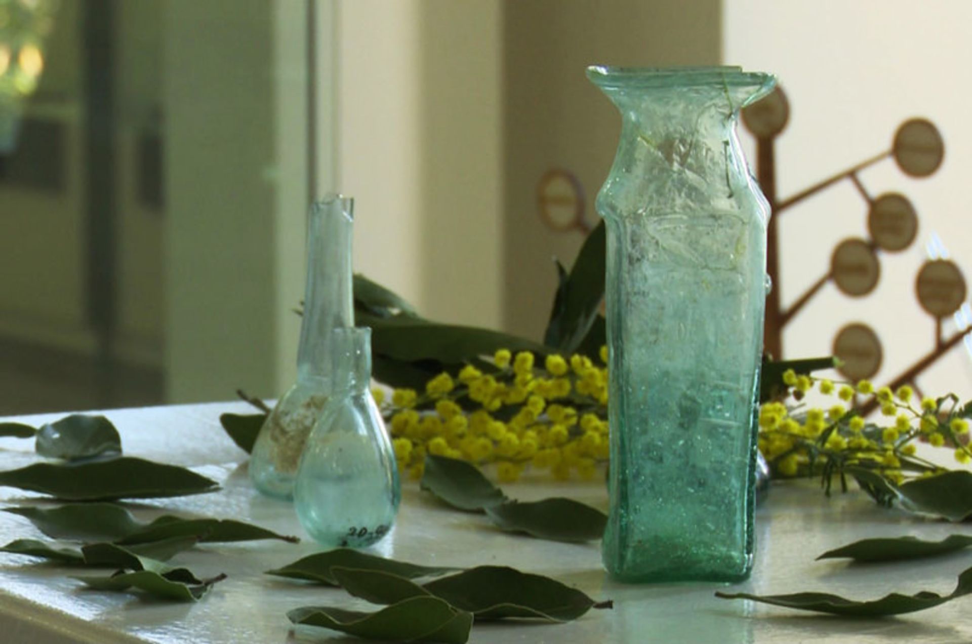 کارت گردشگری باتومی