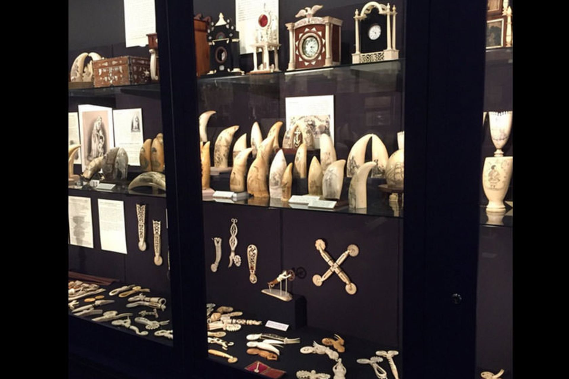 New Bedford Whaling Museum