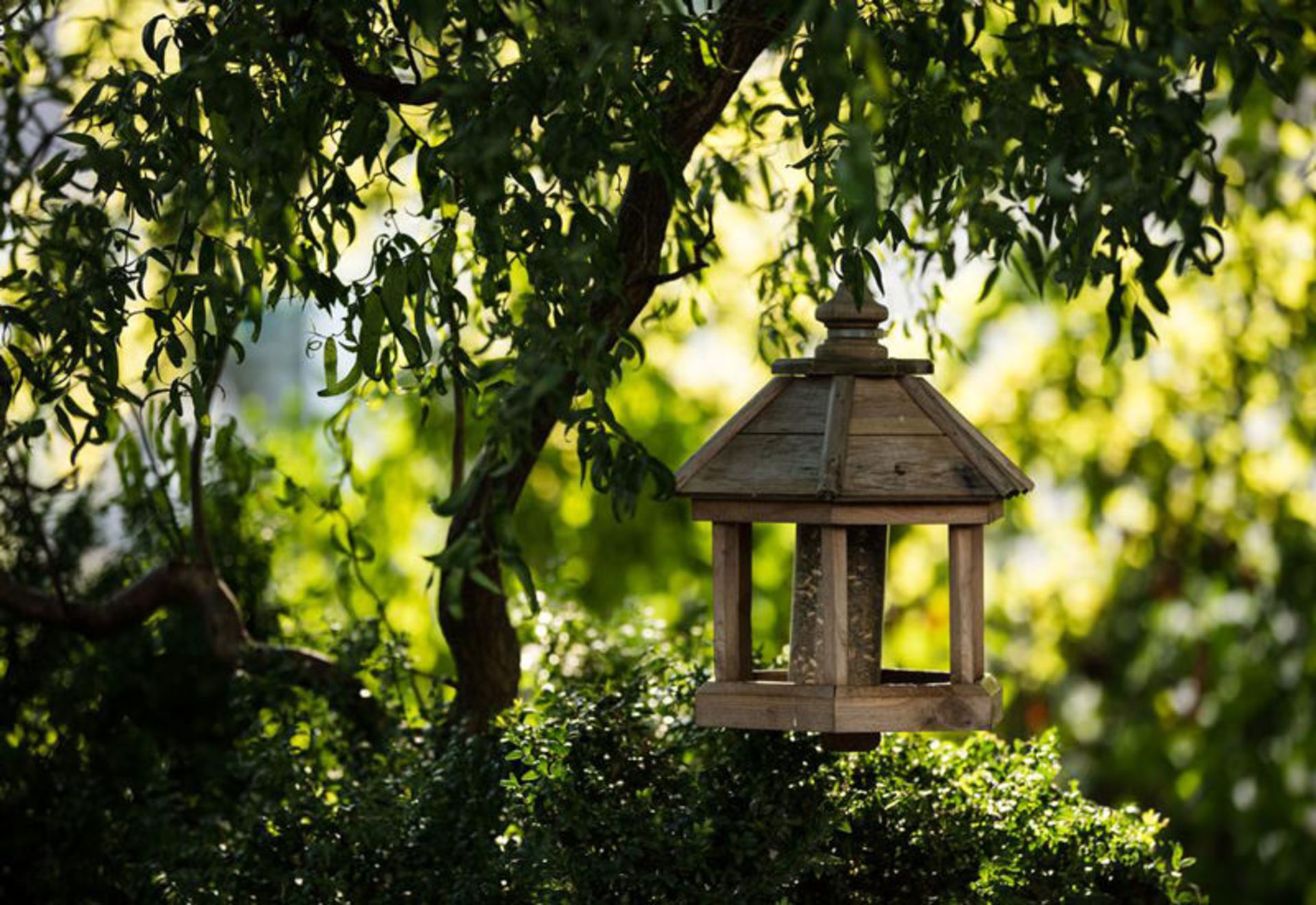 هتل انگیمات سیتی-گاردن (Engimatt City-Gardenhotel)