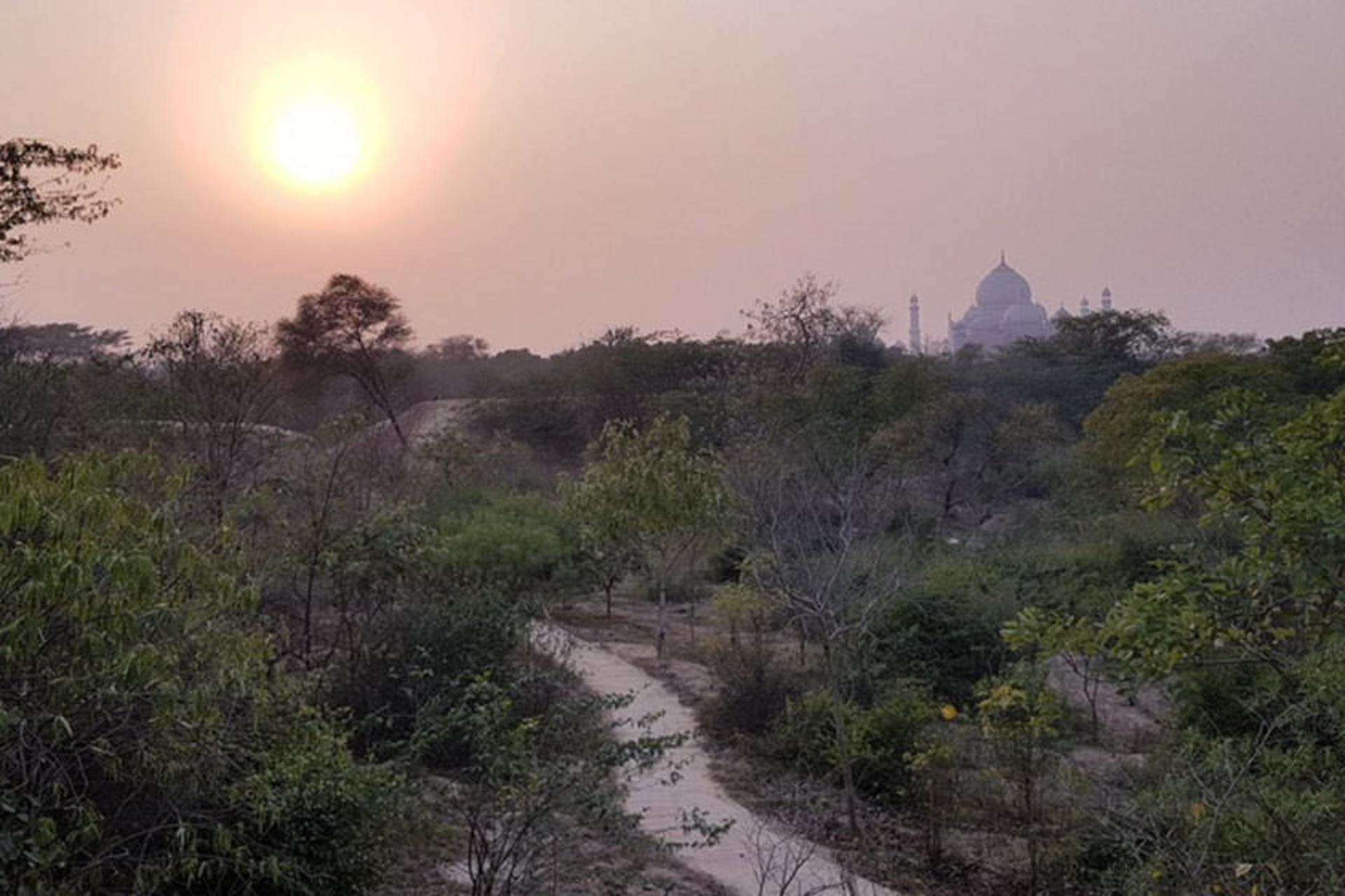 Taj Nature Walk