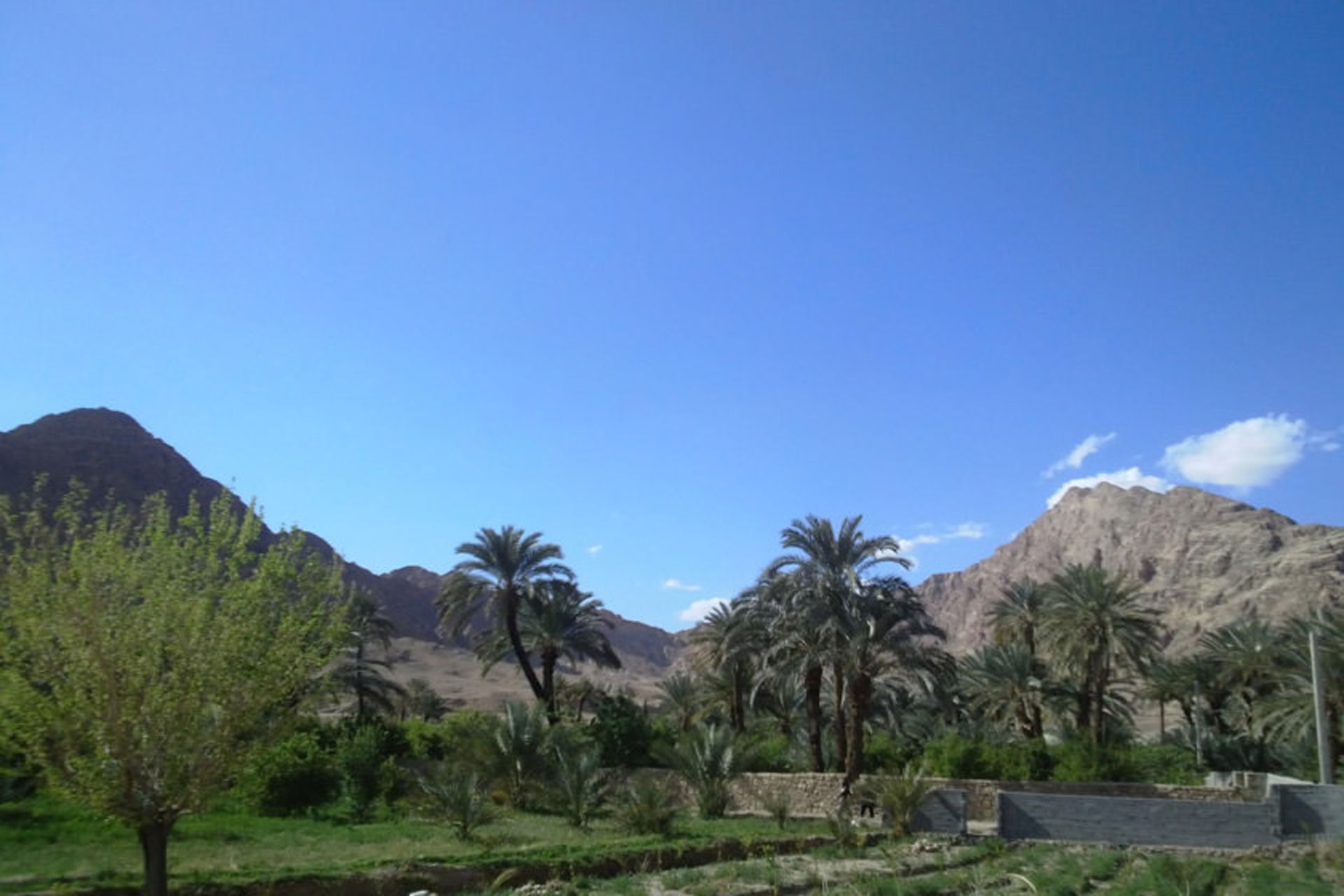 هتل طبس