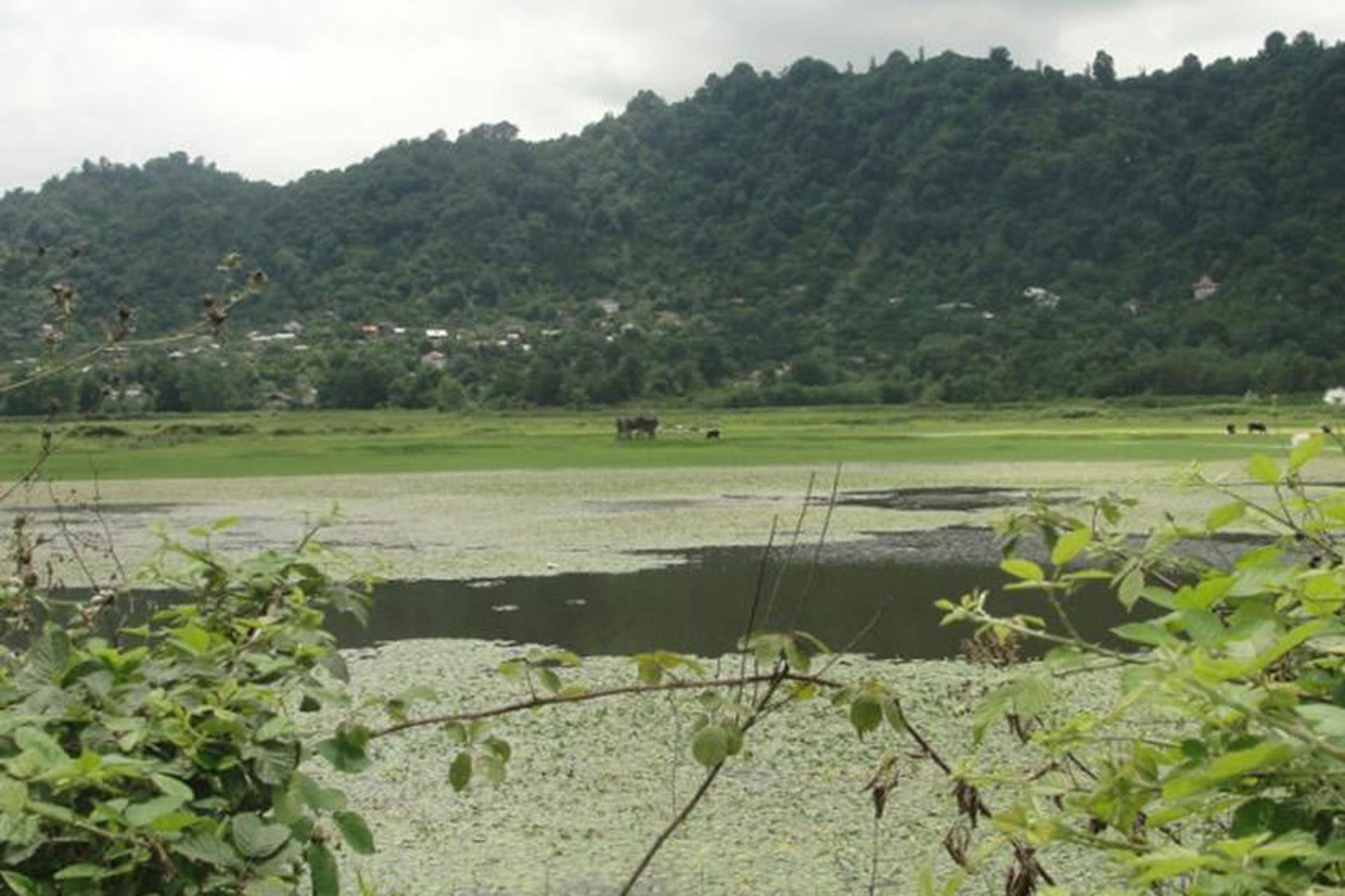 روستای سالکویه