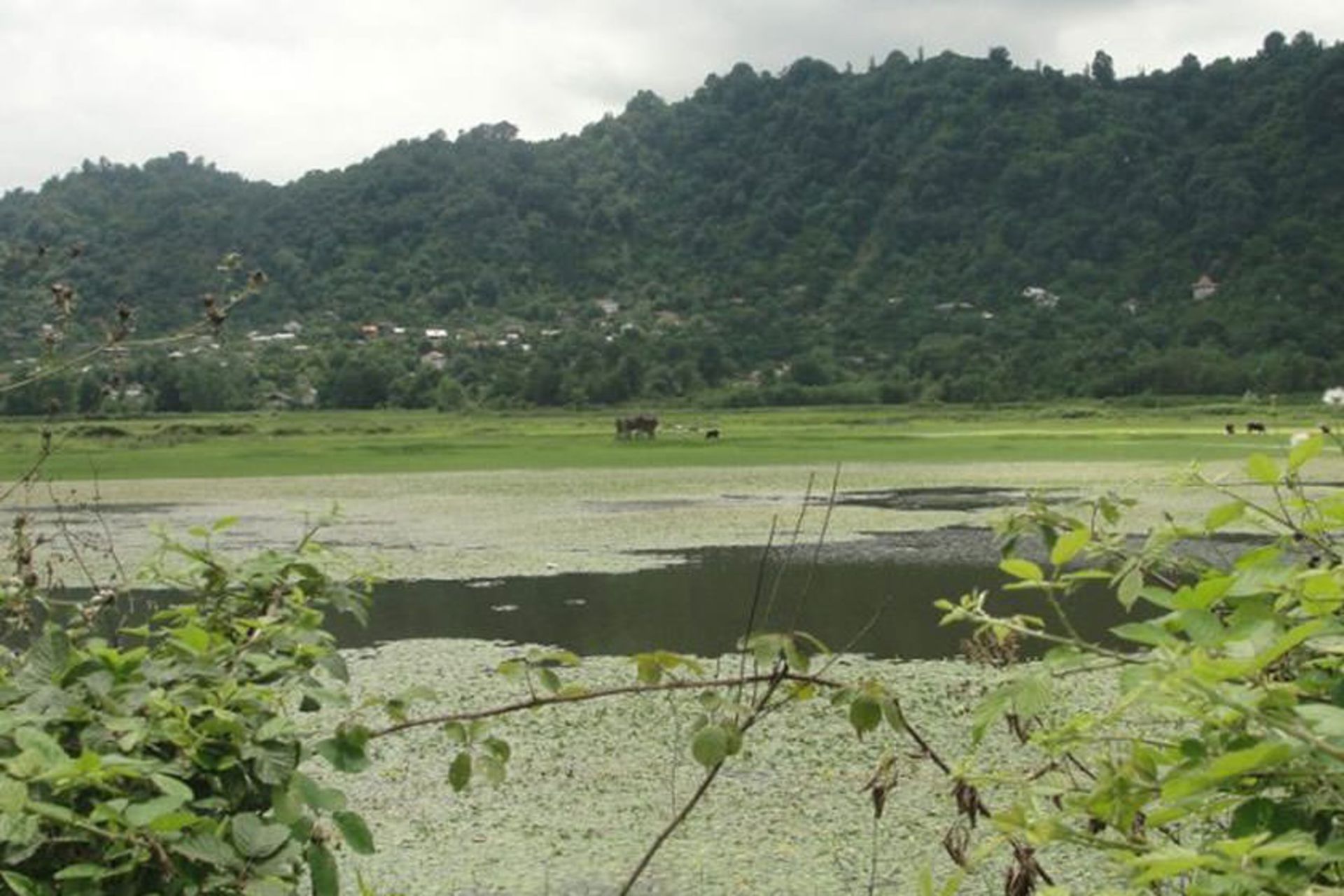 روستای سالکویه