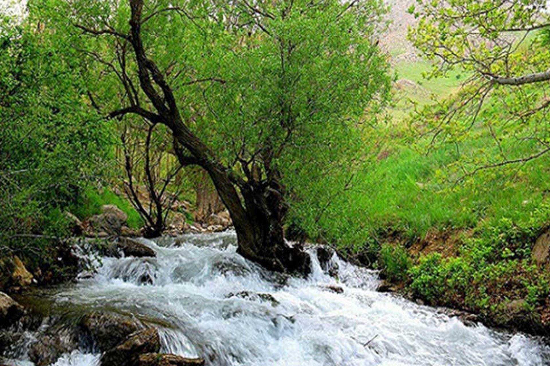 سراب فارسبان