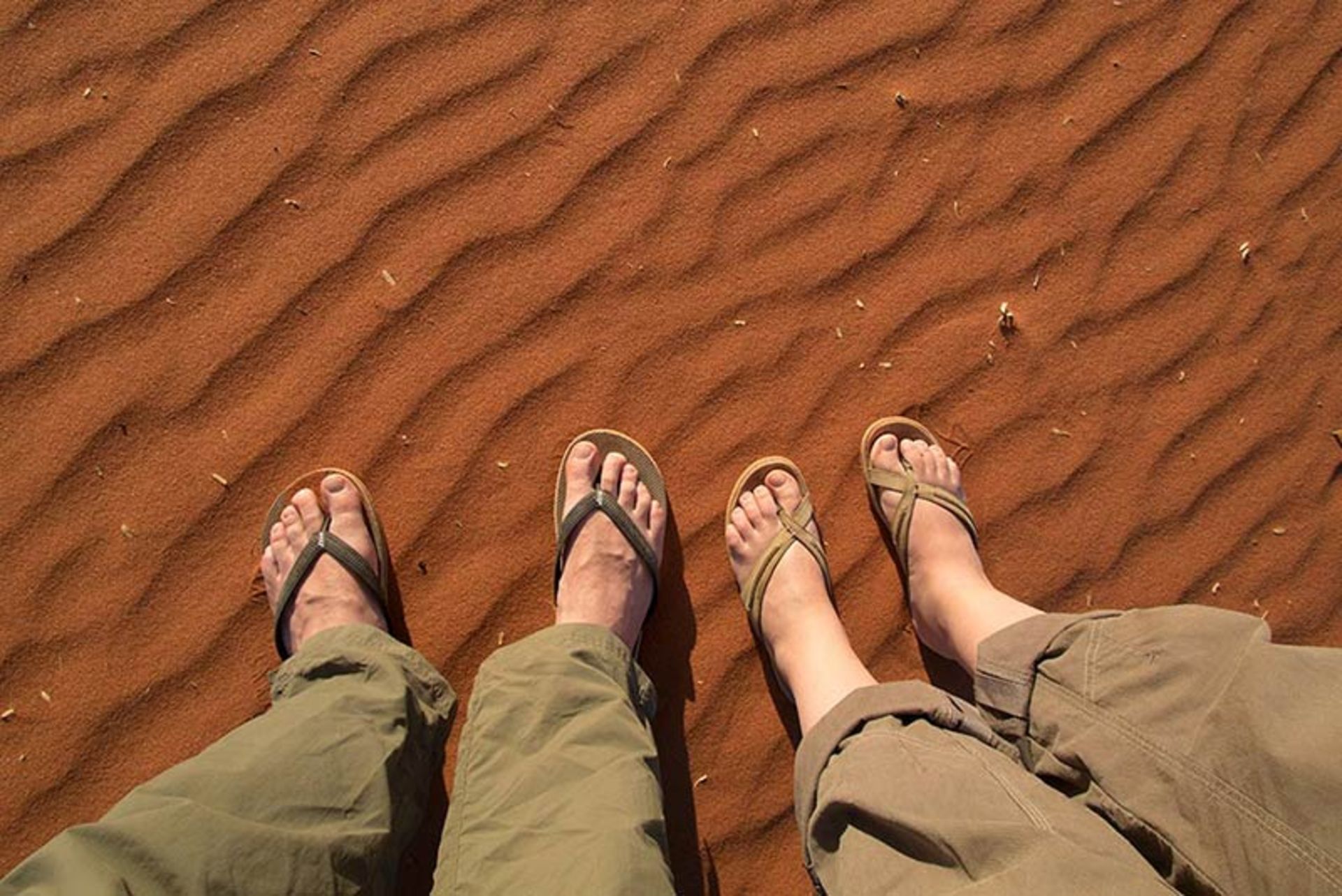 بایدها و نبایدهای سافاری در آفریقا