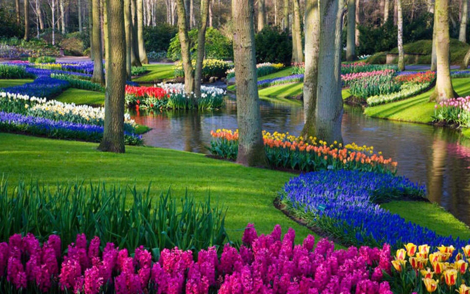 جشنواره های هلند