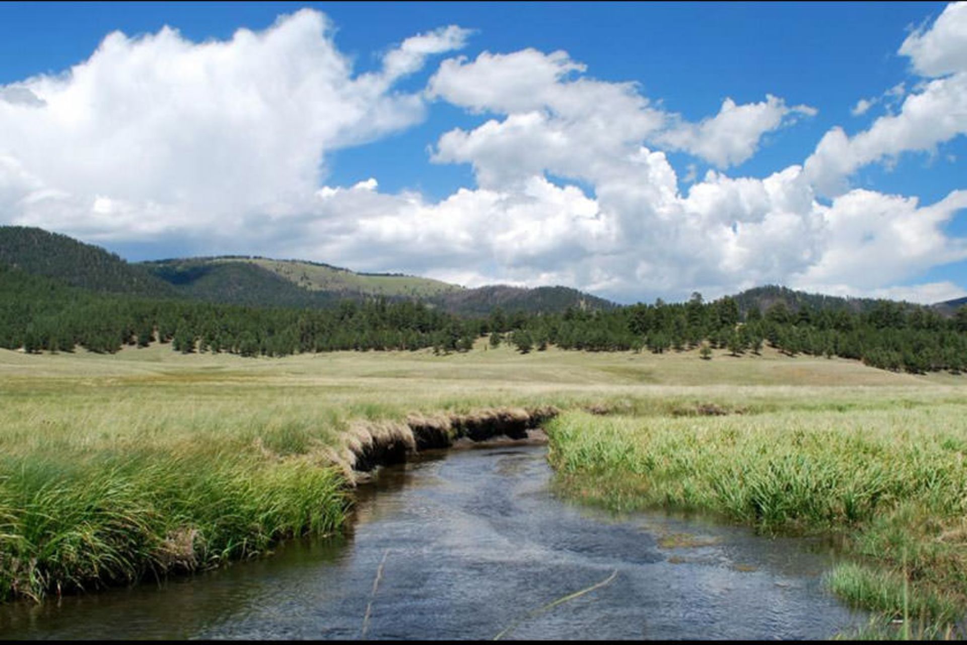 Valles Caldera National Preserve