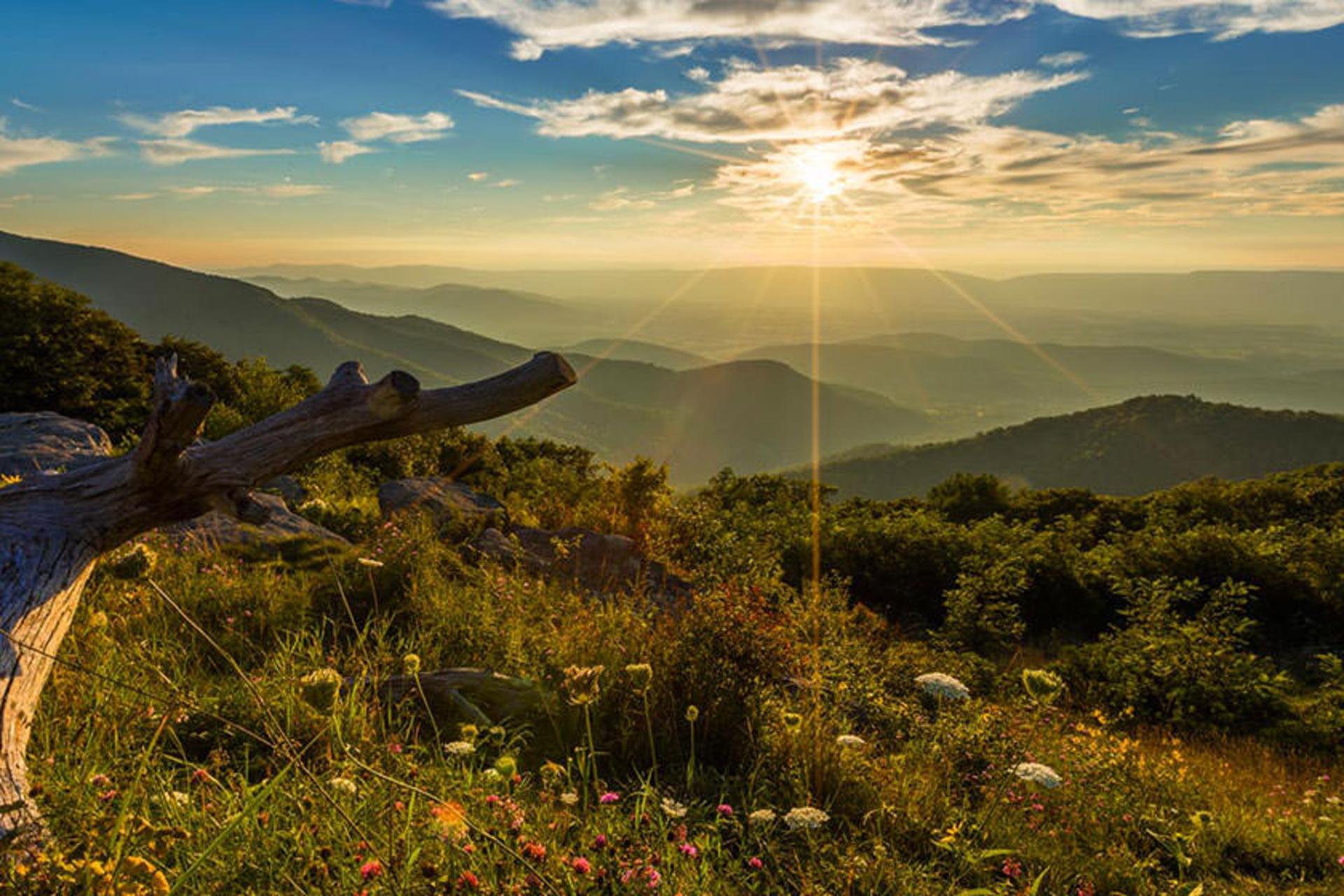 Shenandoah National Park