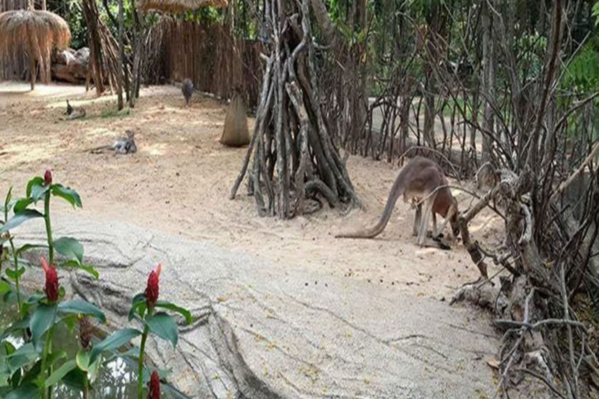 Ubon Zoo