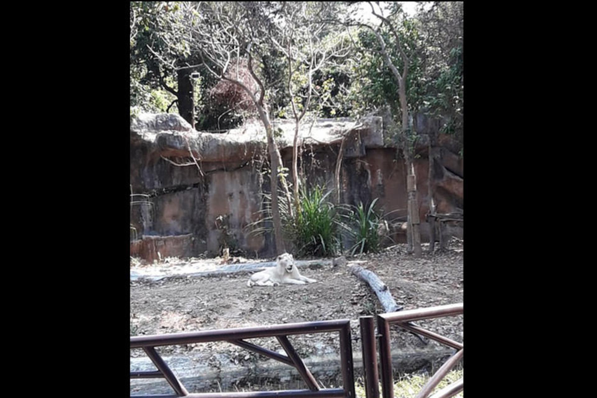 Ubon Zoo
