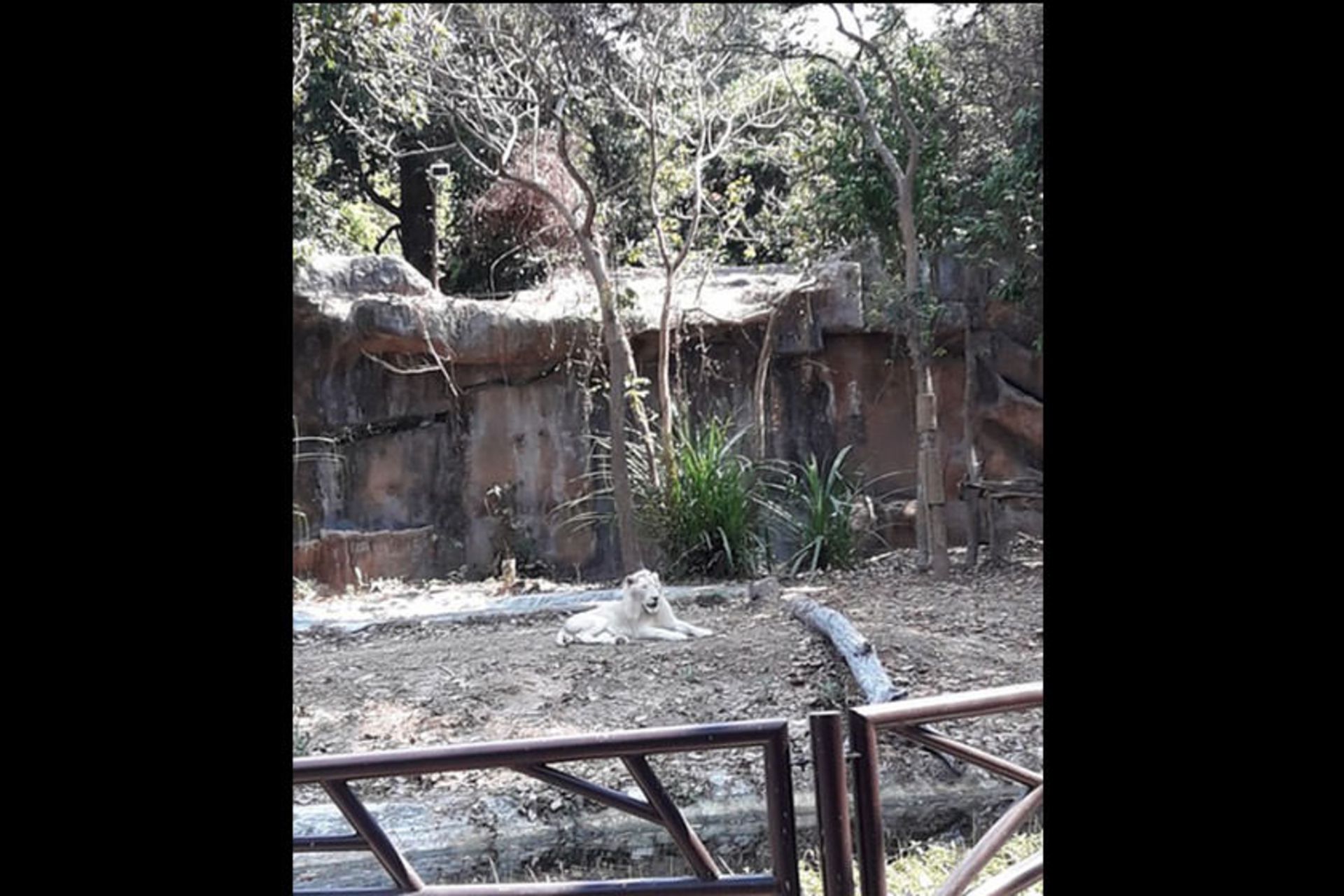 Ubon Zoo