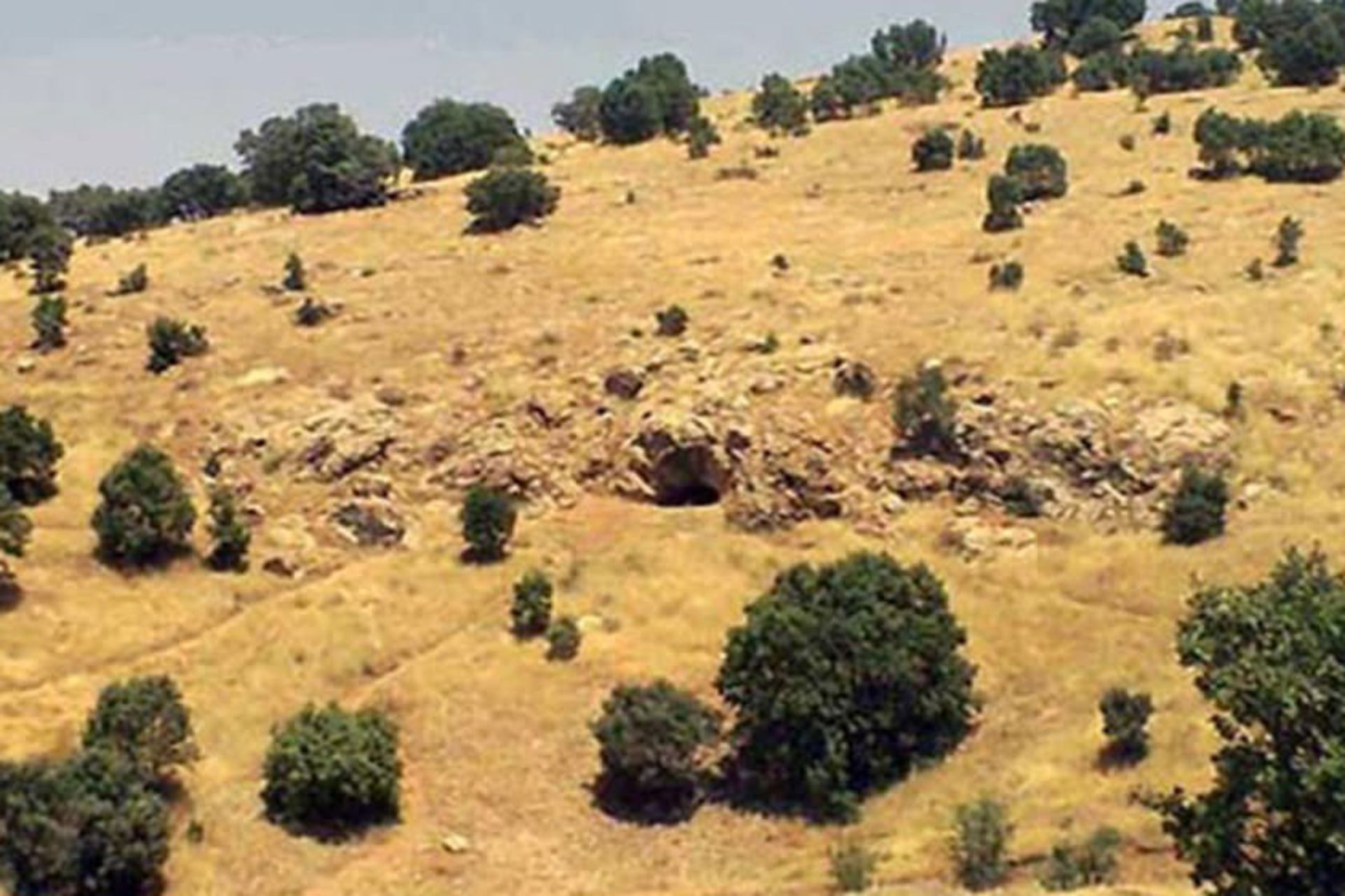 غار شوی