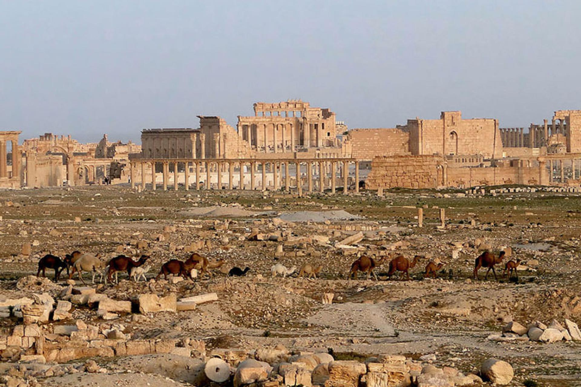 پالمیرا
