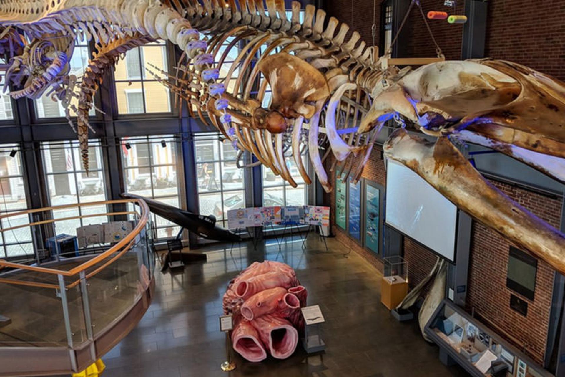 New Bedford Whaling Museum