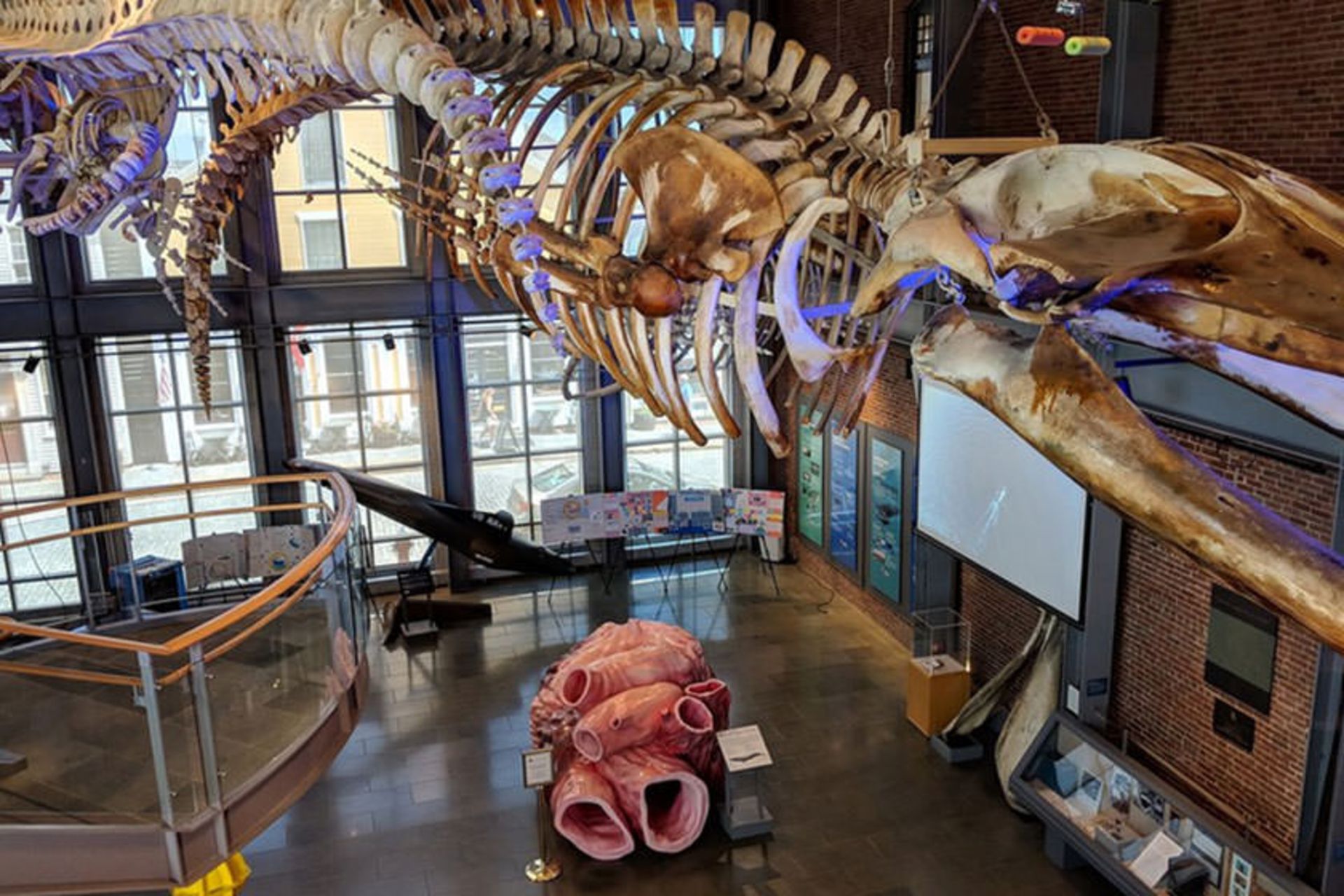 New Bedford Whaling Museum