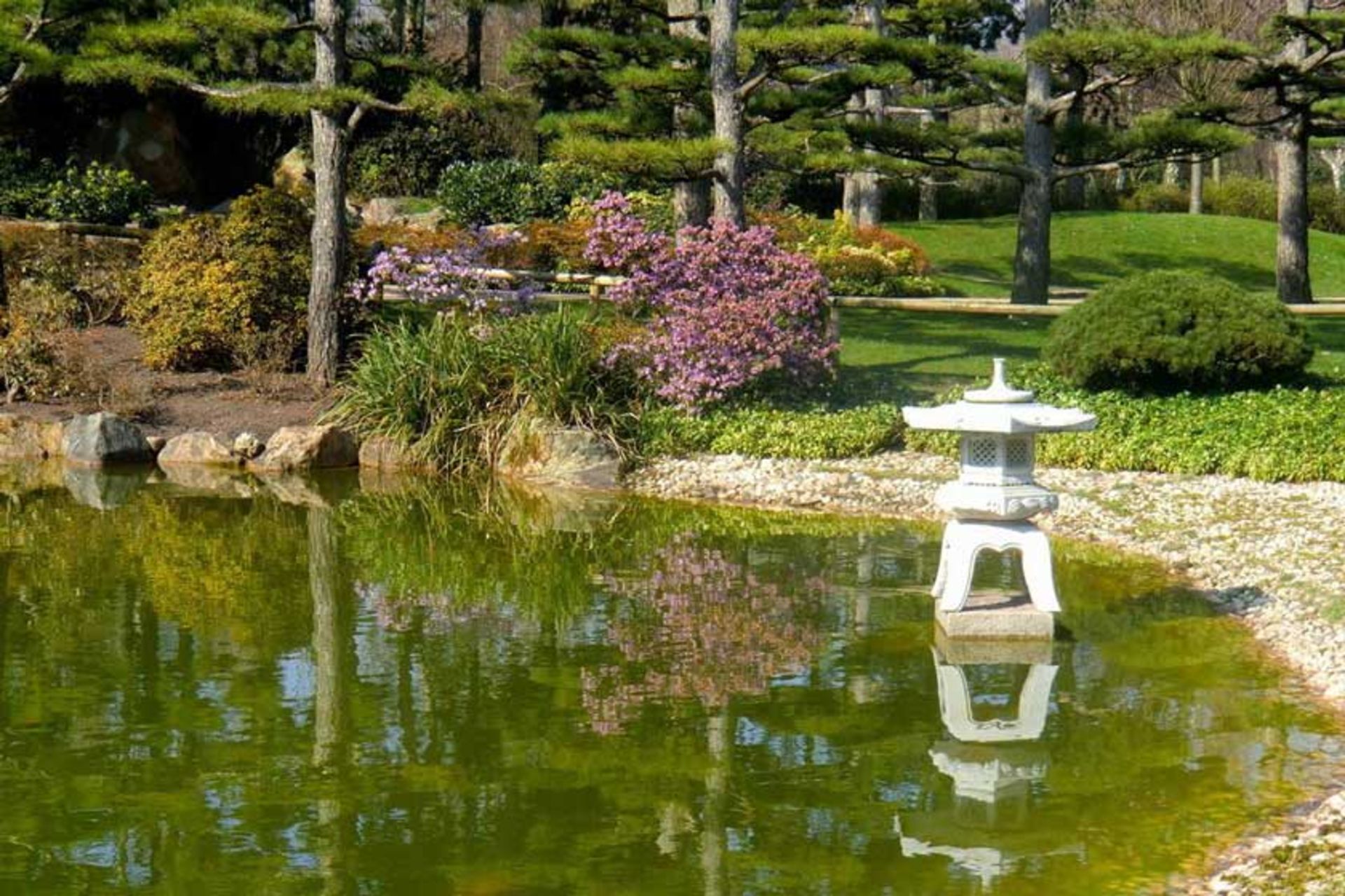باغ ژاپنی نردپارک 