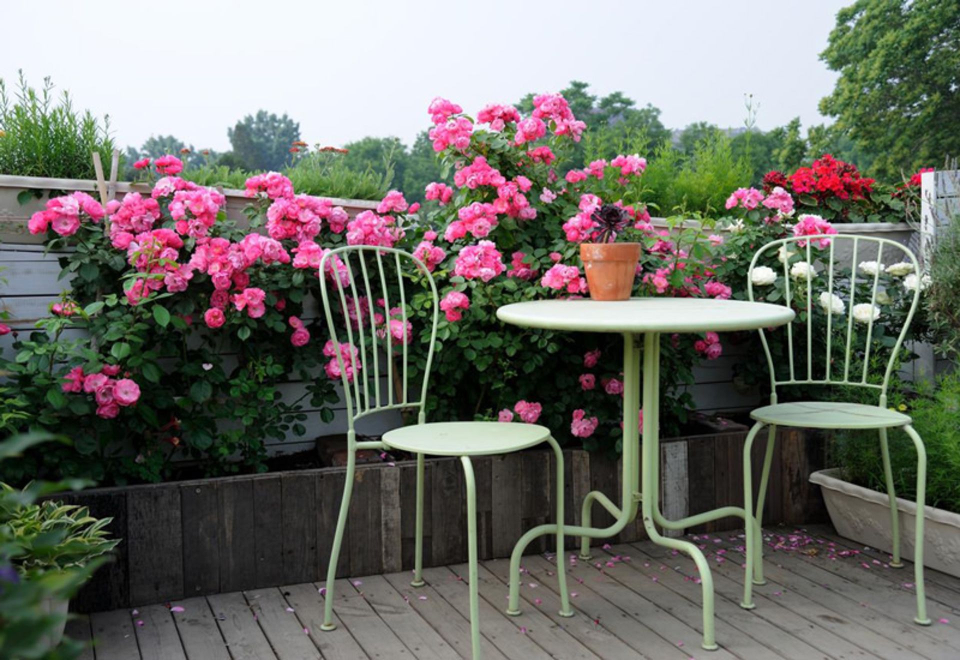 هاستل پکینگ یوس (Peking Youth Hostel)