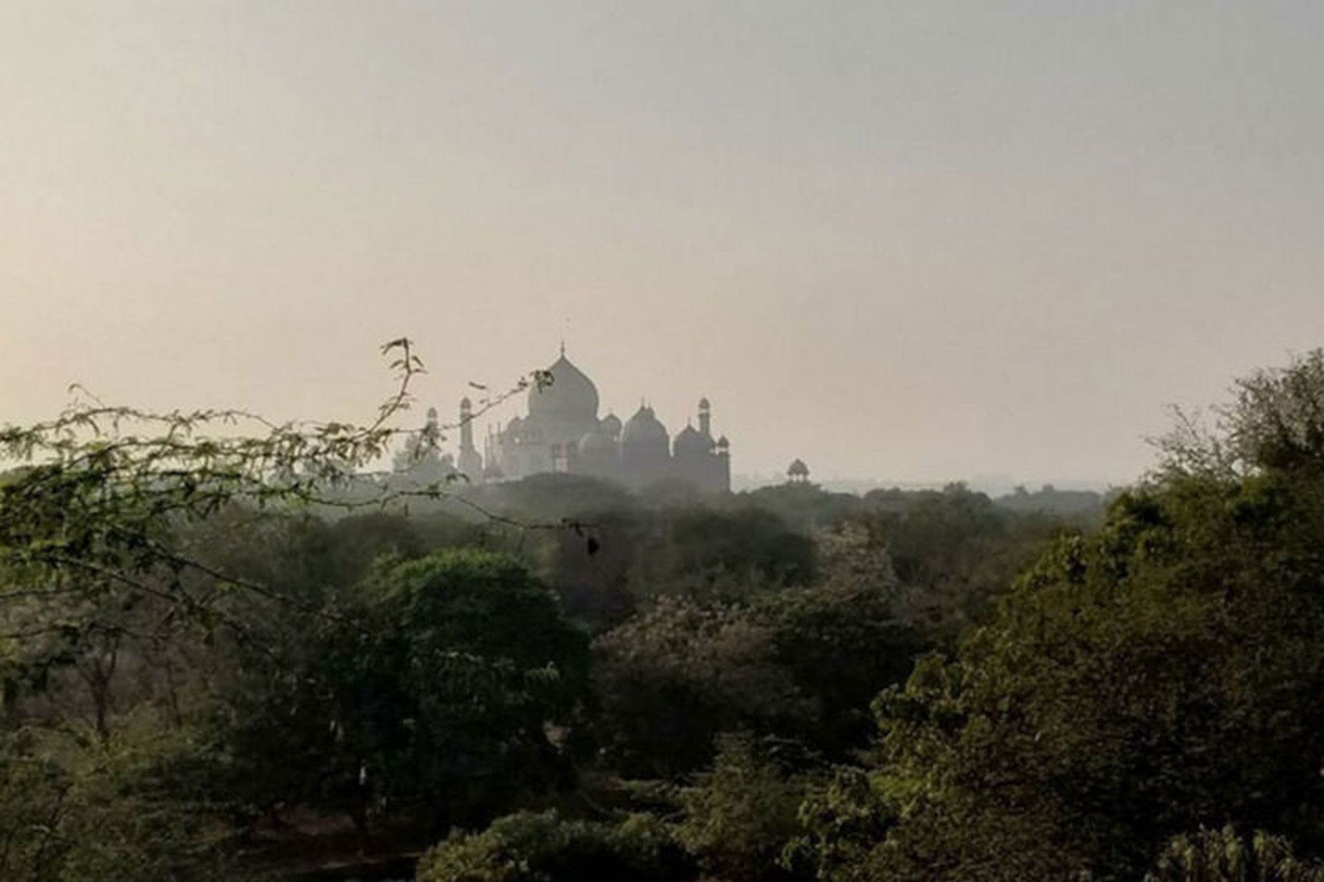 Taj Nature Walk