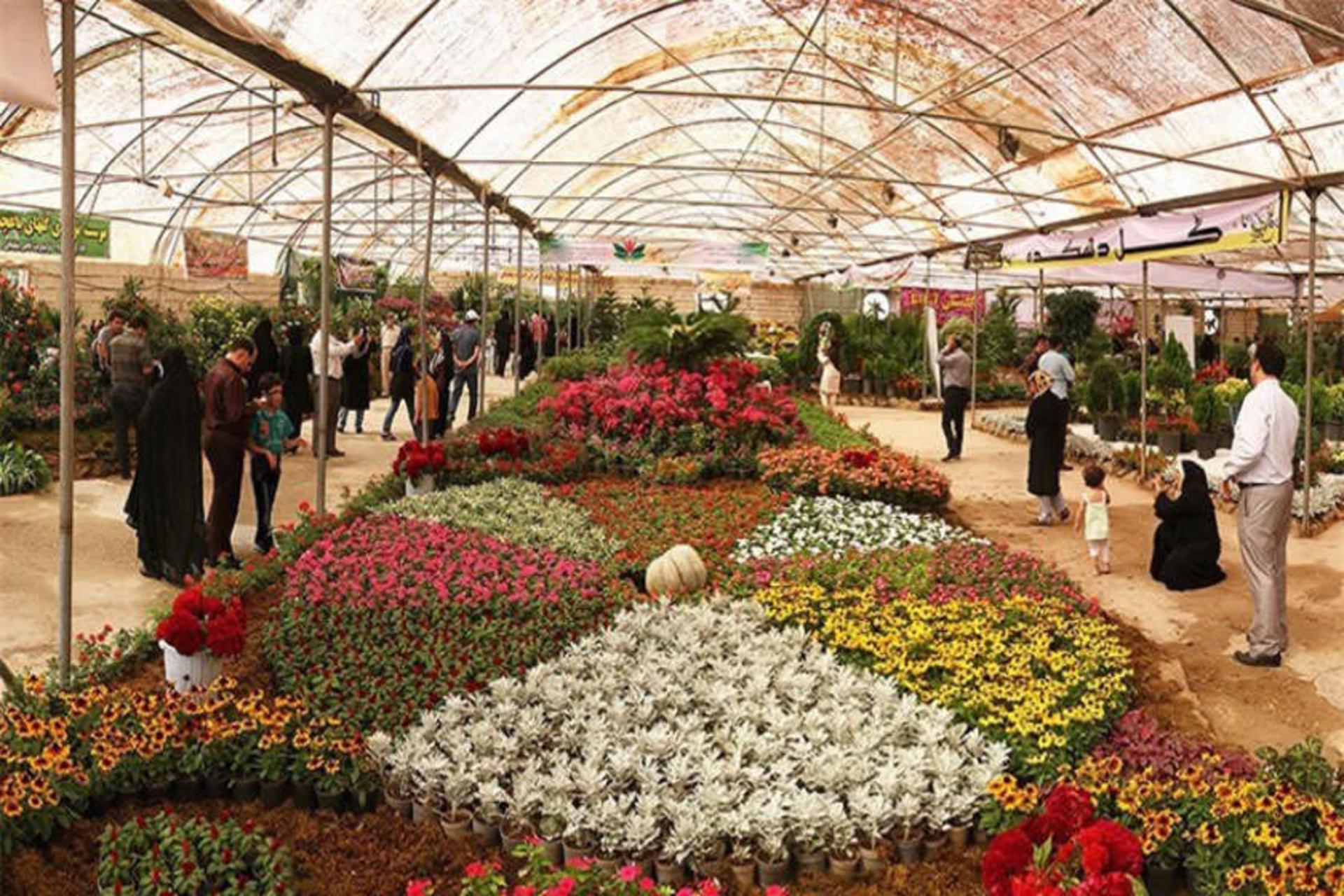 گردشگری گل و گیاه