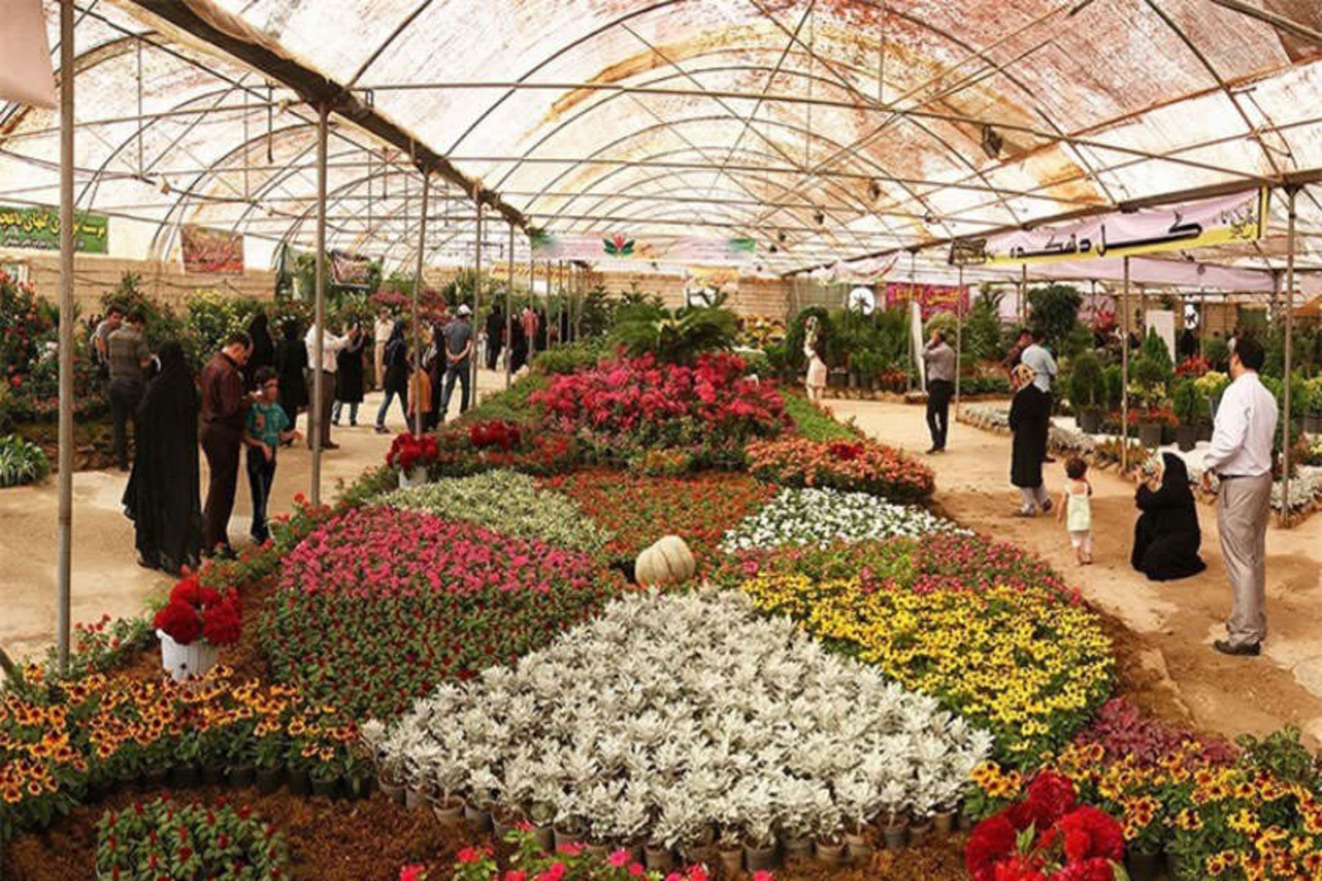 گردشگری گل و گیاه