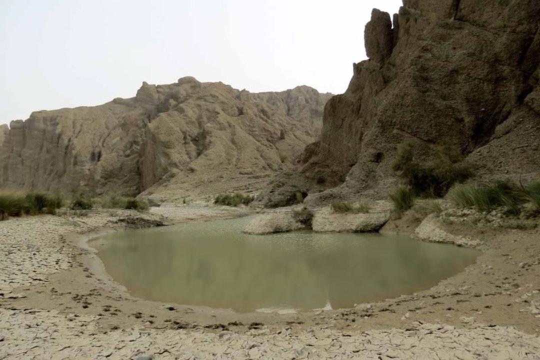محل زندگی تمساح گاندو
