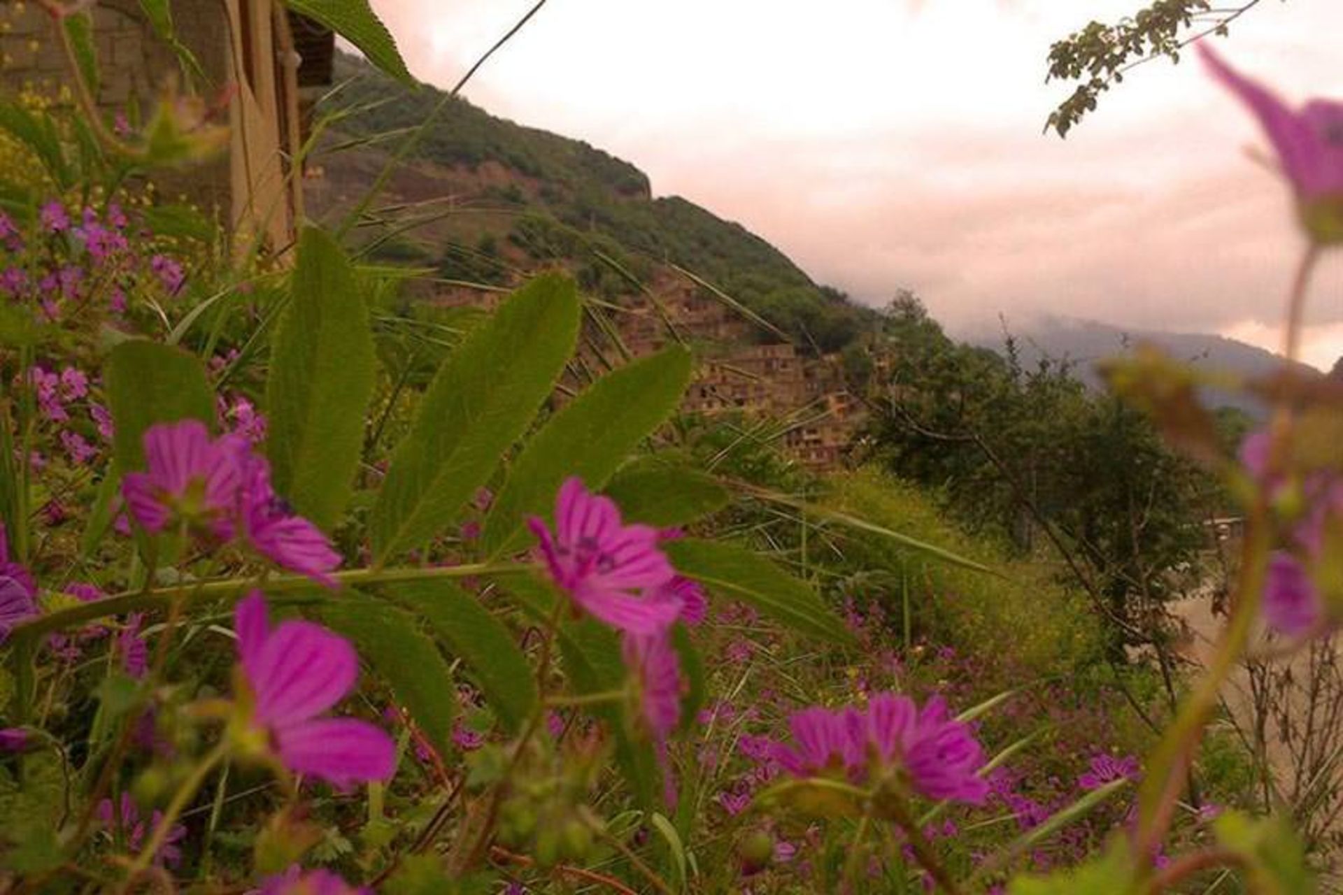 پارک جنگلی ماسوله